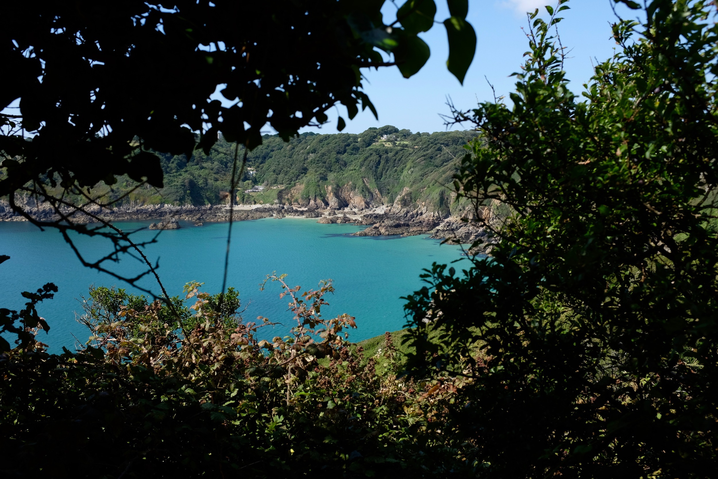DSCF3304.jpg