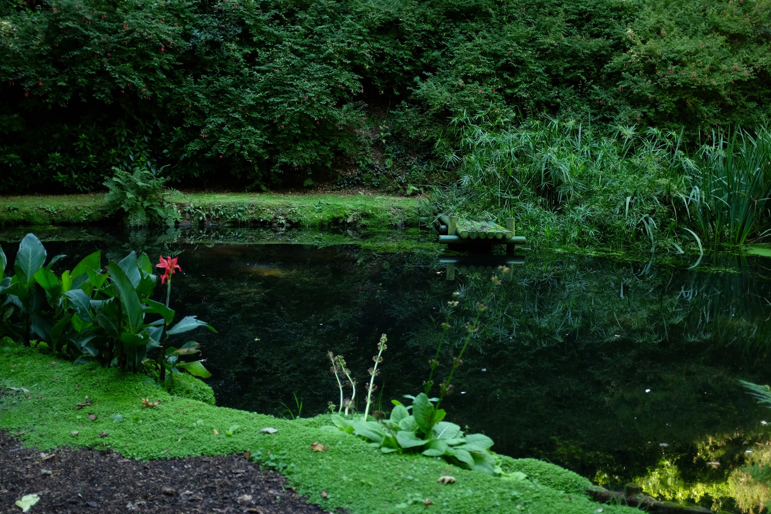 DSCF3336.jpg
