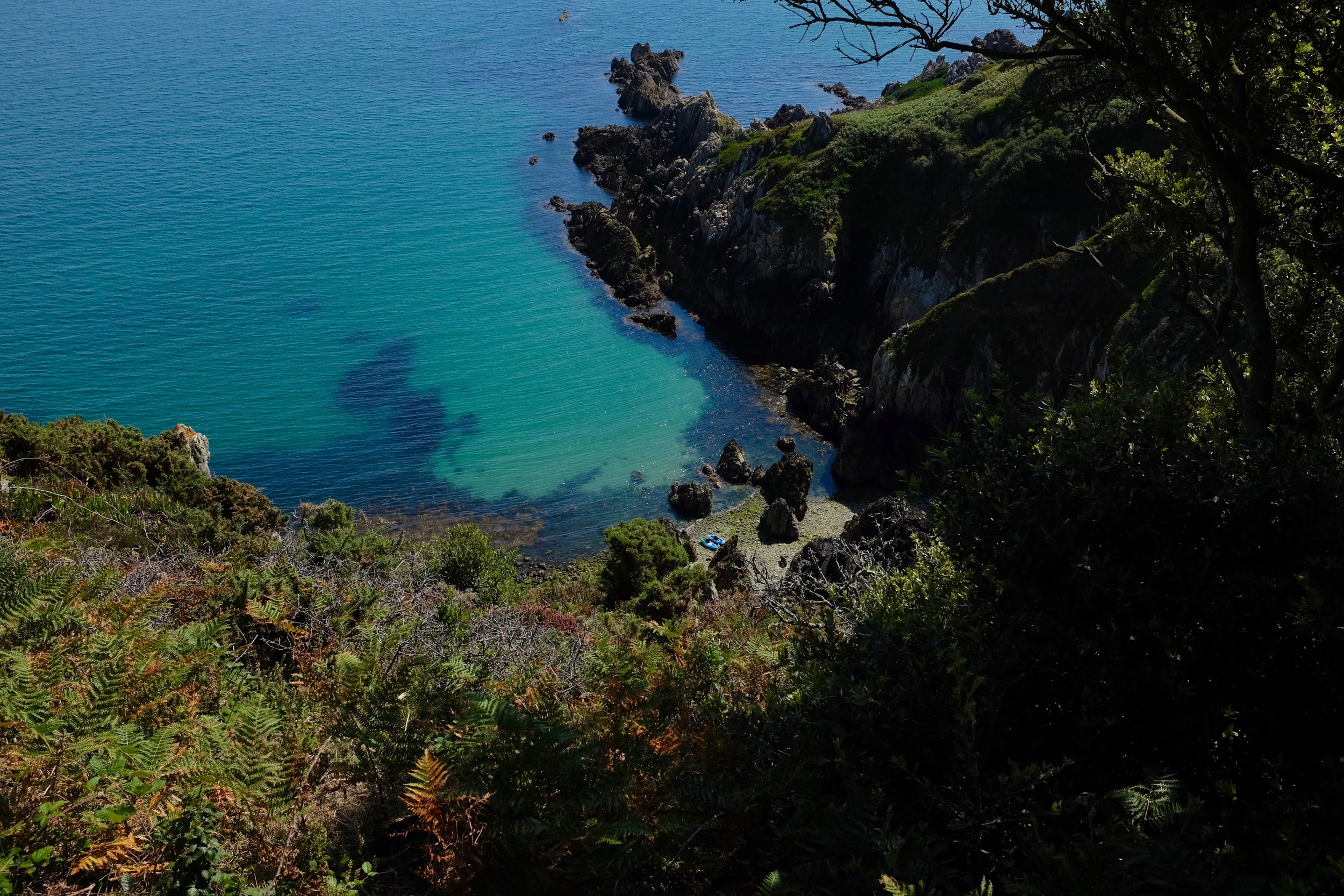DSCF3341.jpg