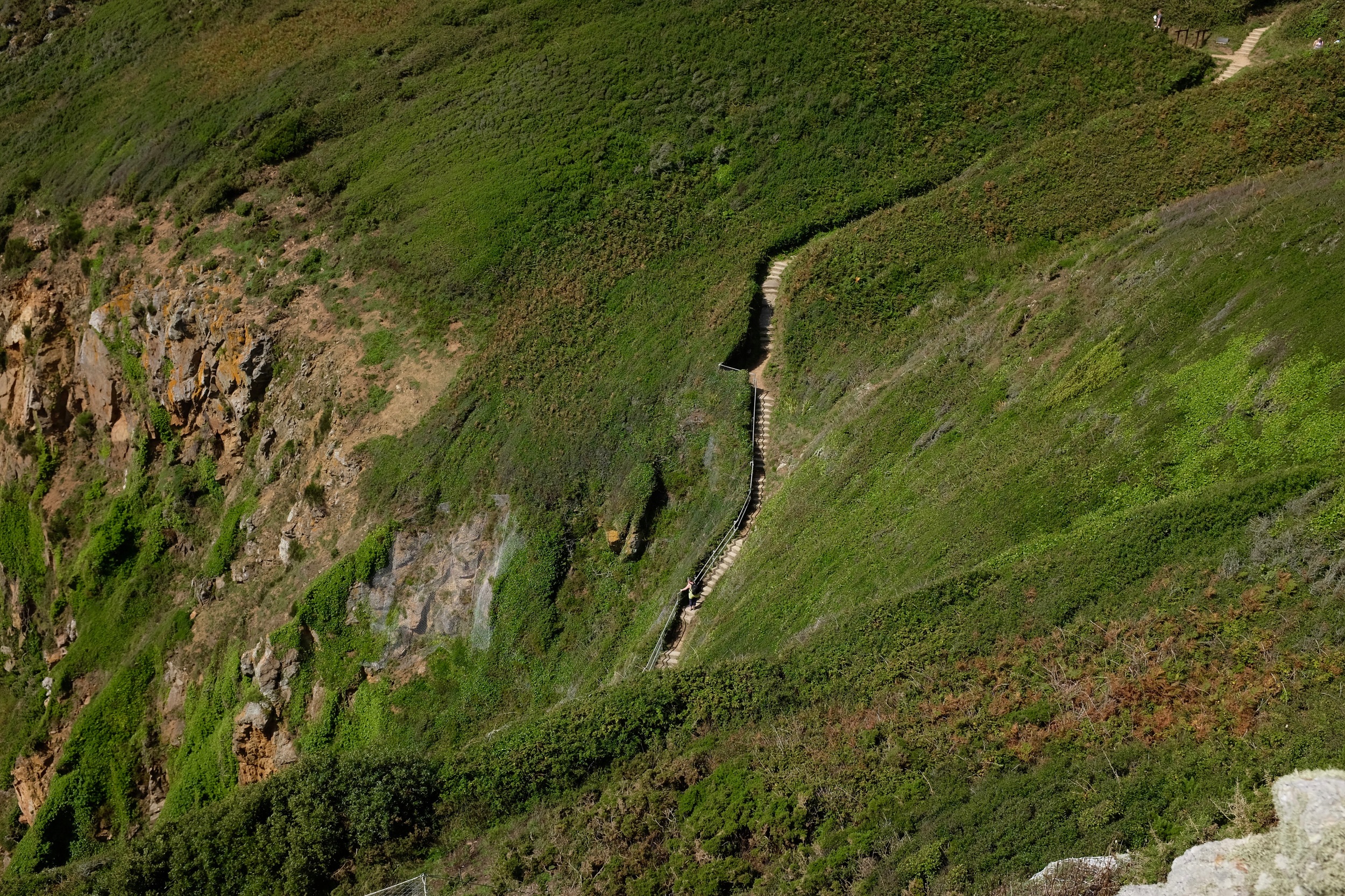 DSCF3320.jpg