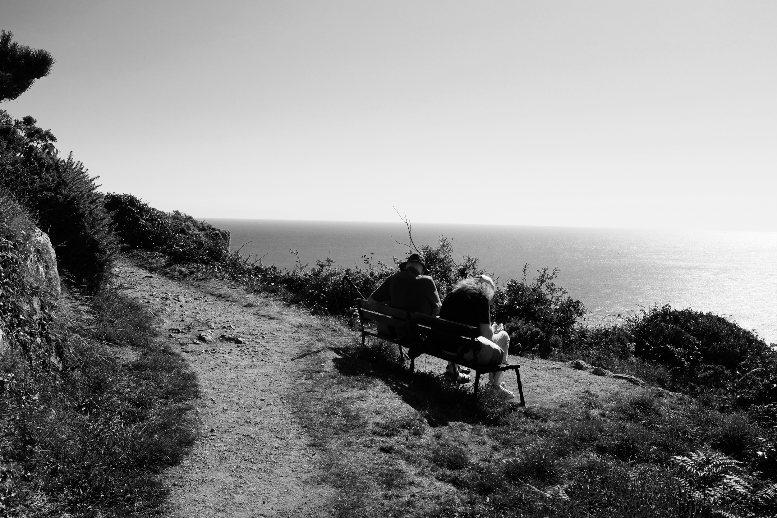 DSCF3366.jpg