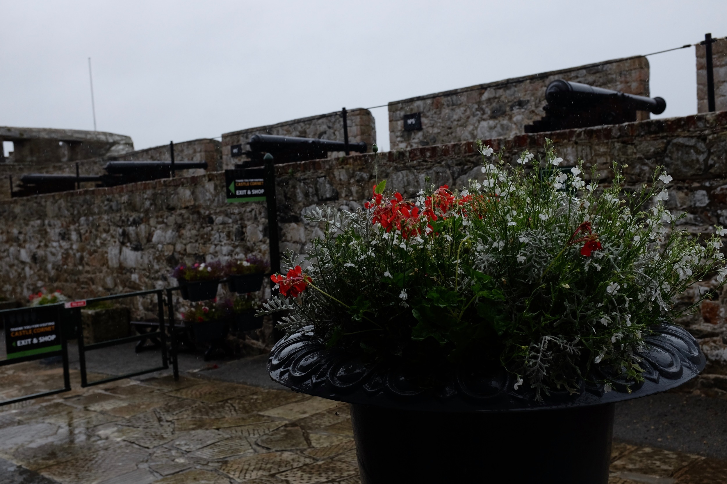 DSCF3491.jpg