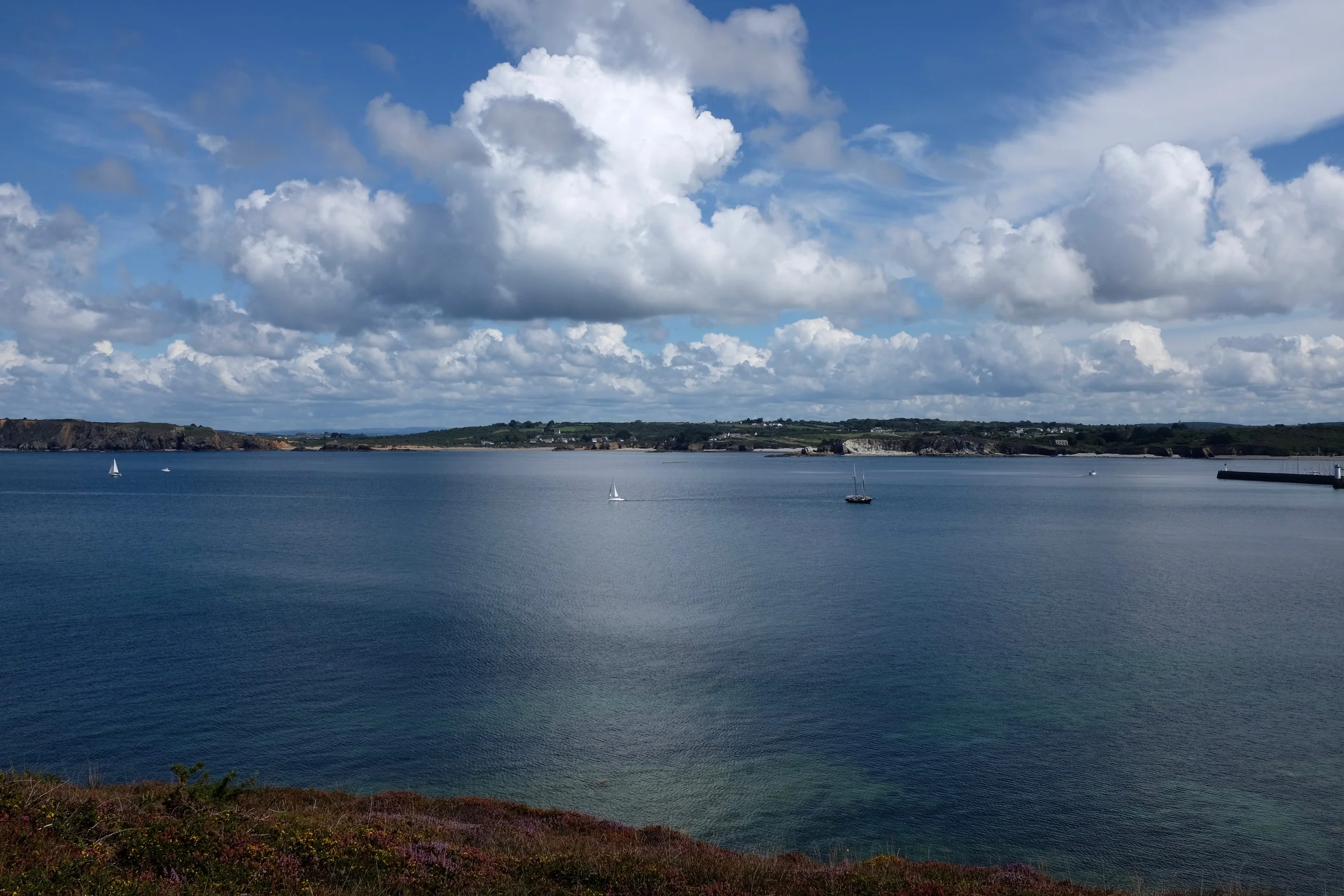 DSCF3651.jpg