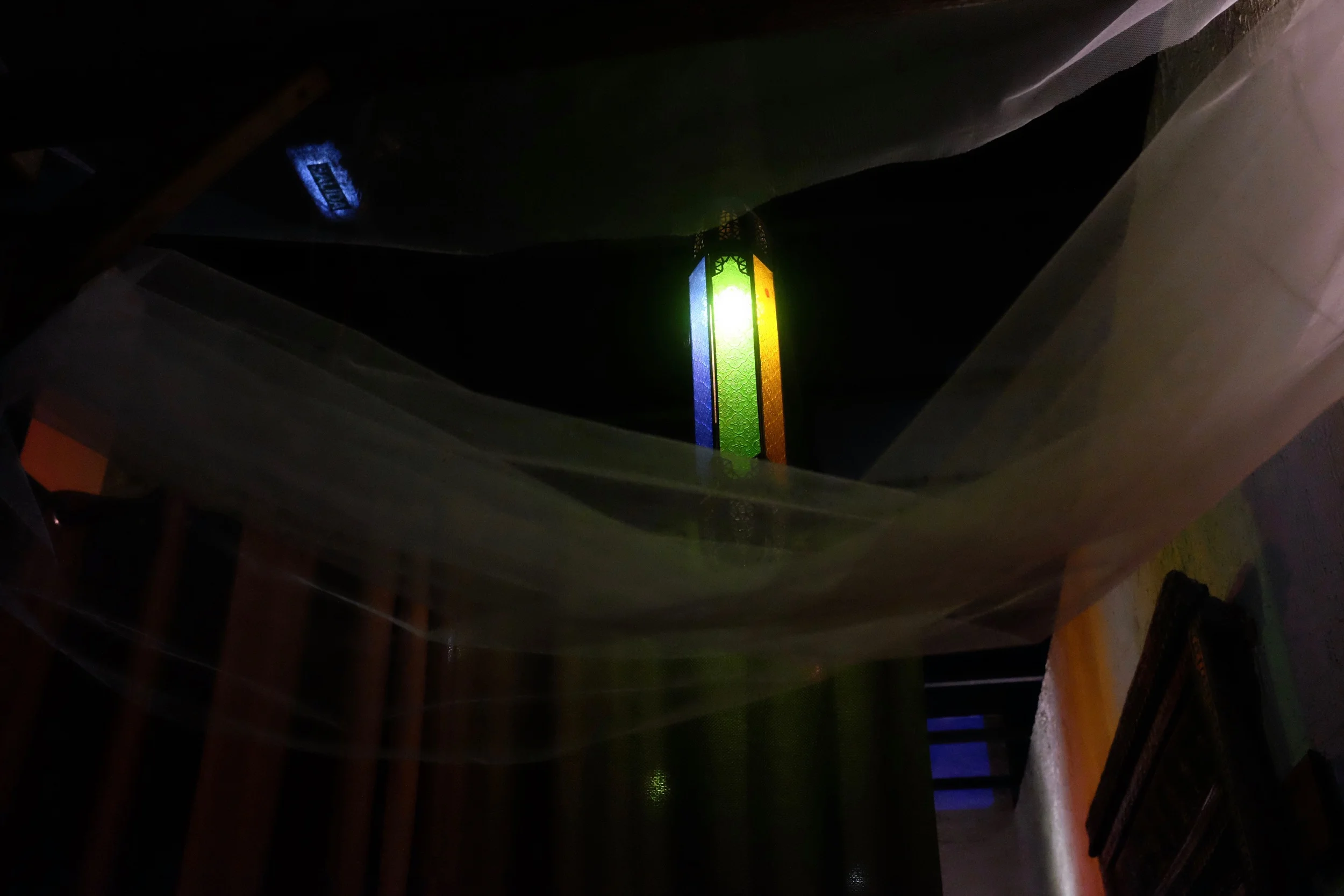 DSCF4174.jpg