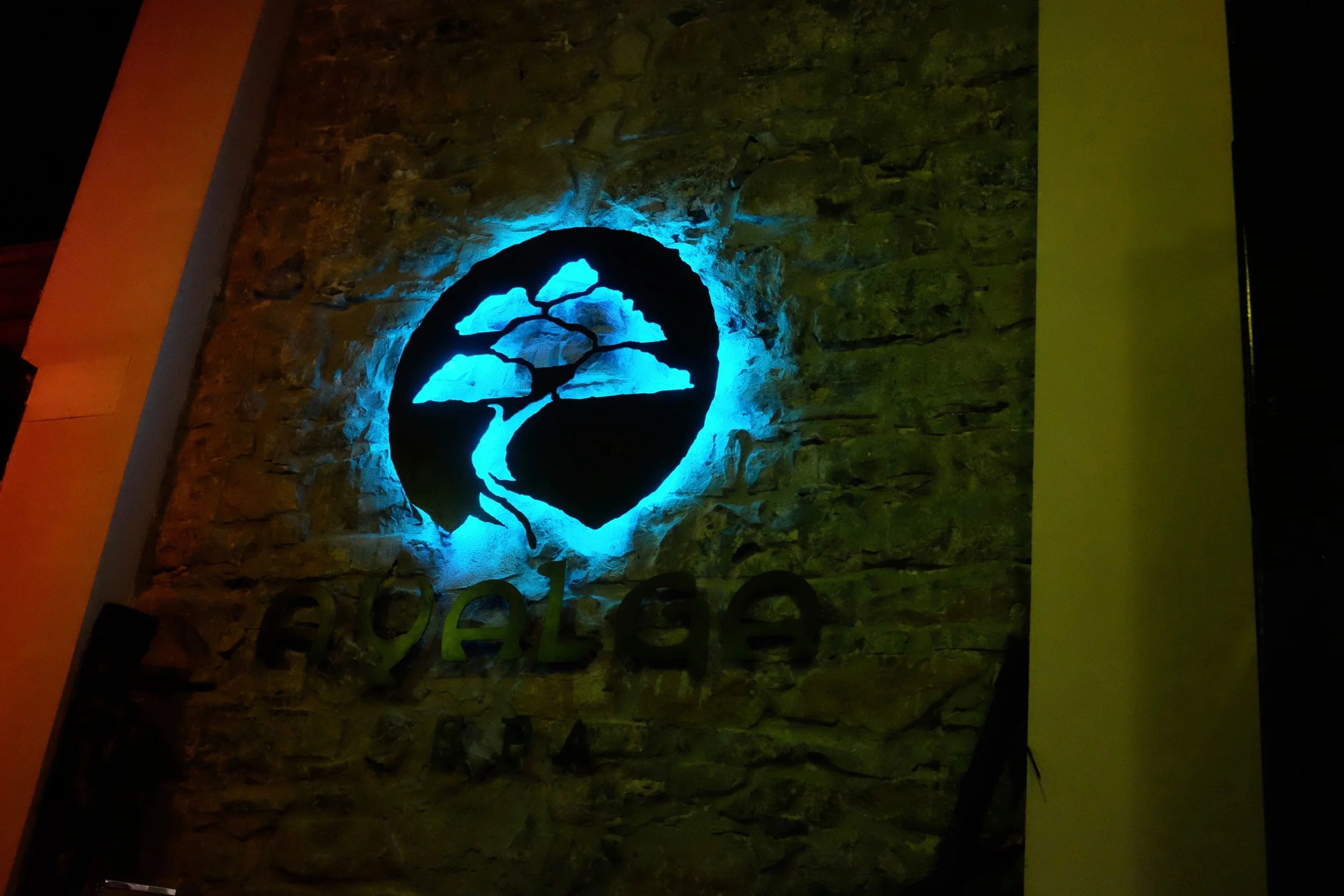 DSCF4213.jpg