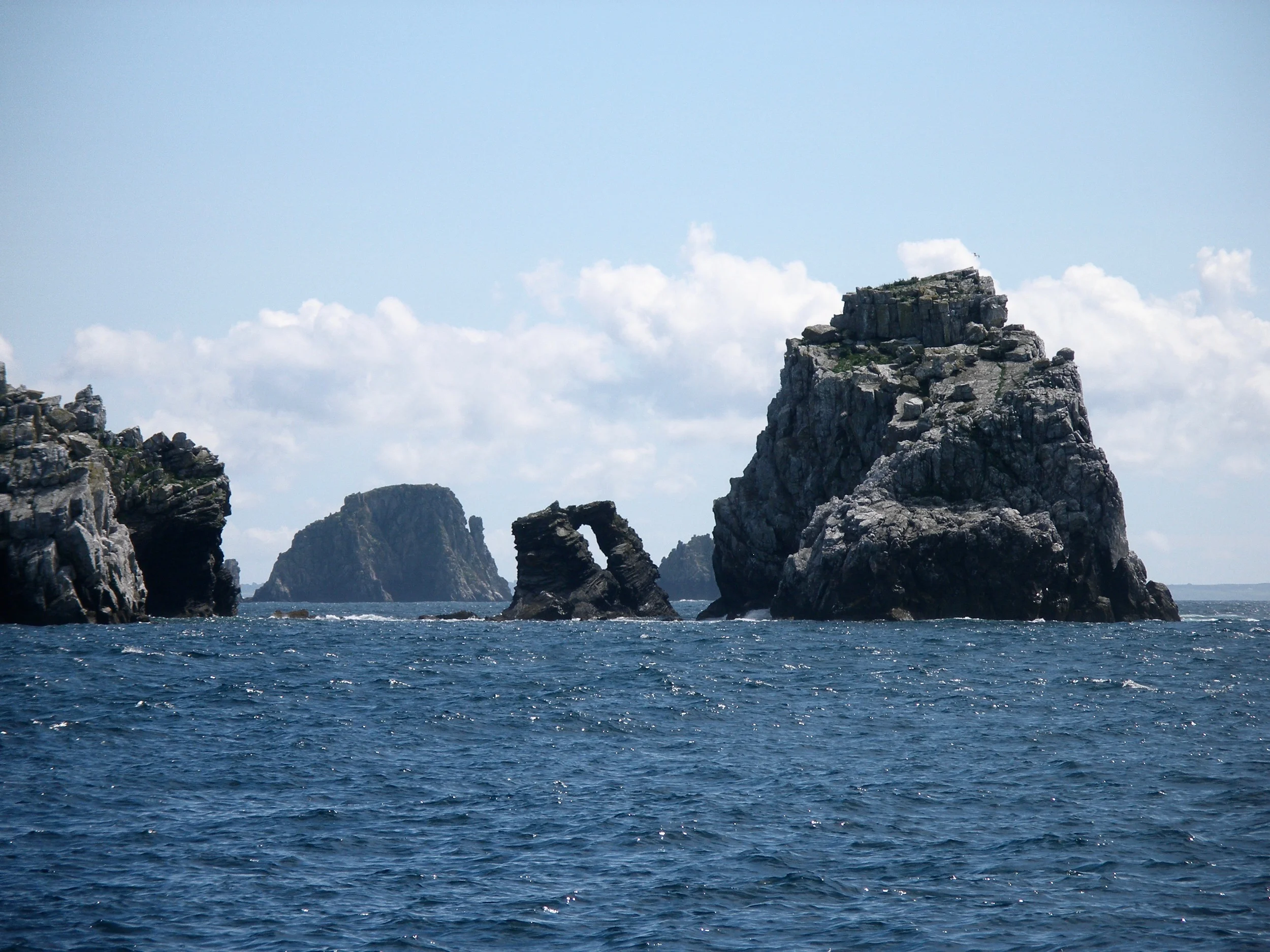 P1012739.jpg