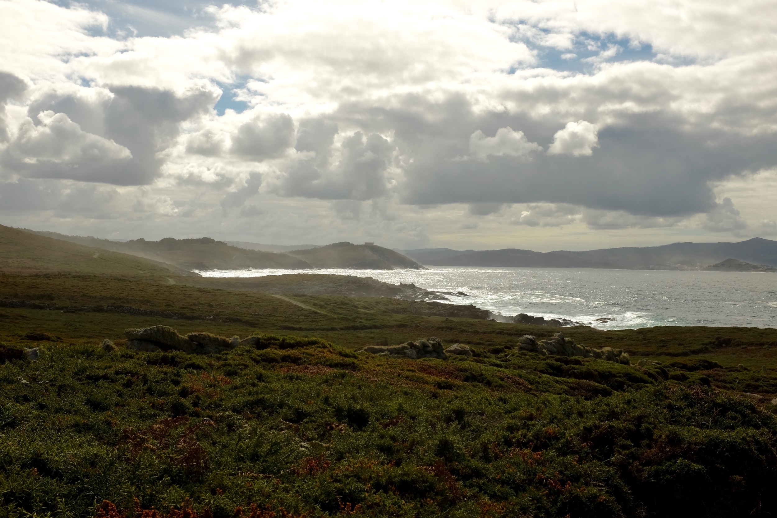 DSCF5700.jpg