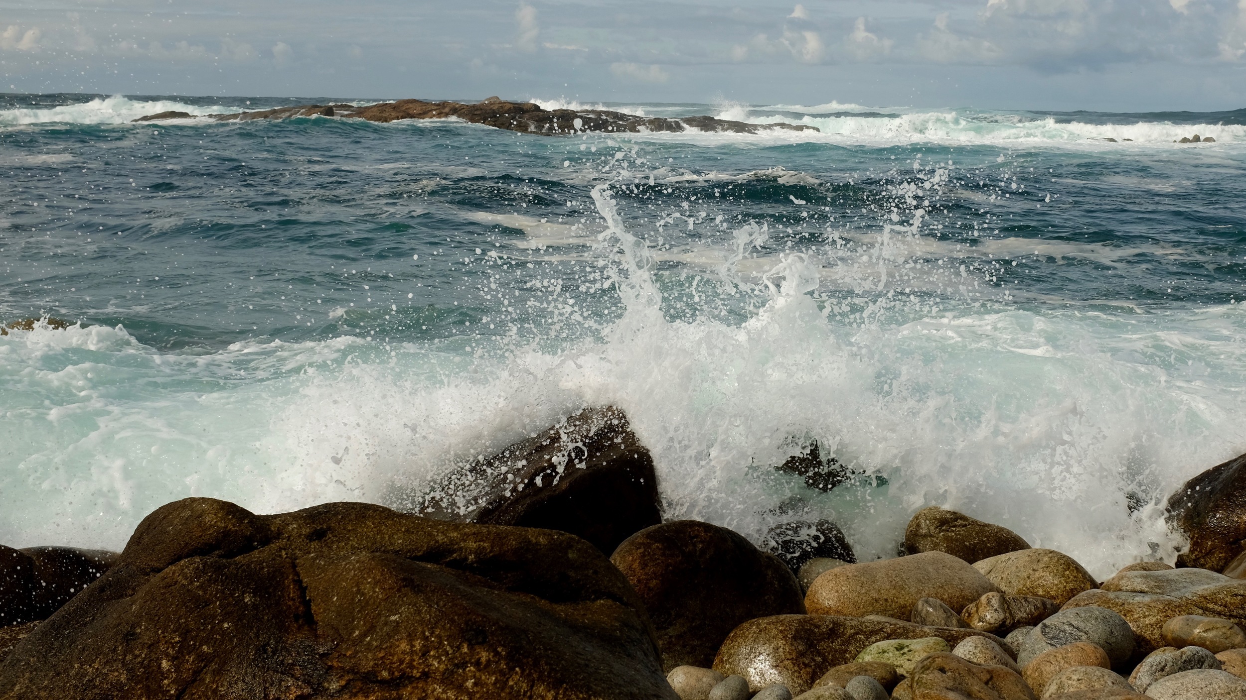 DSCF5730.jpg