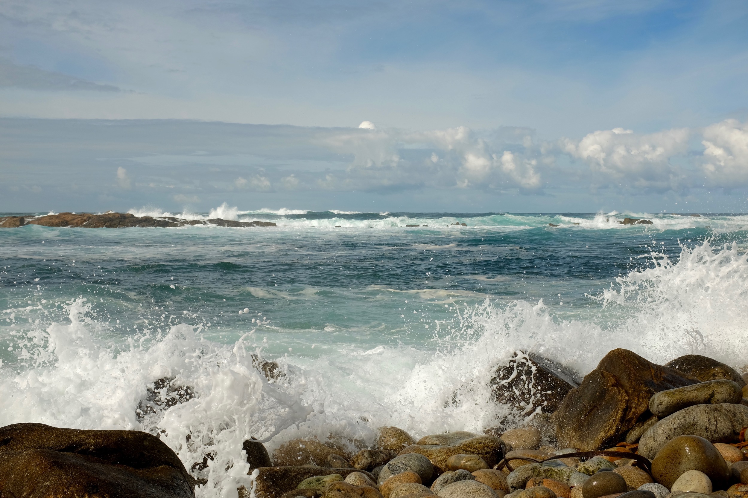 DSCF5712.jpg