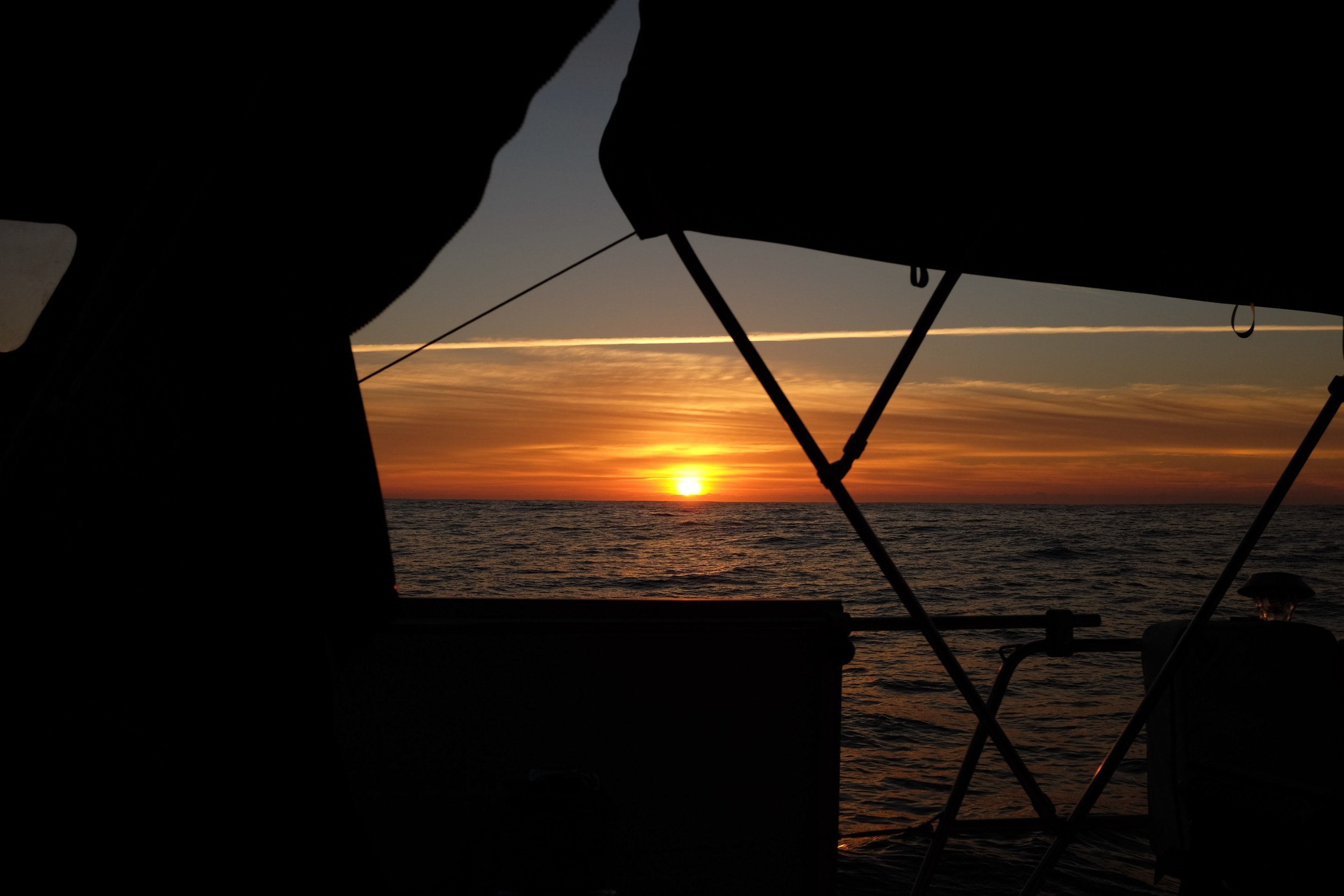 DSCF5916.jpg