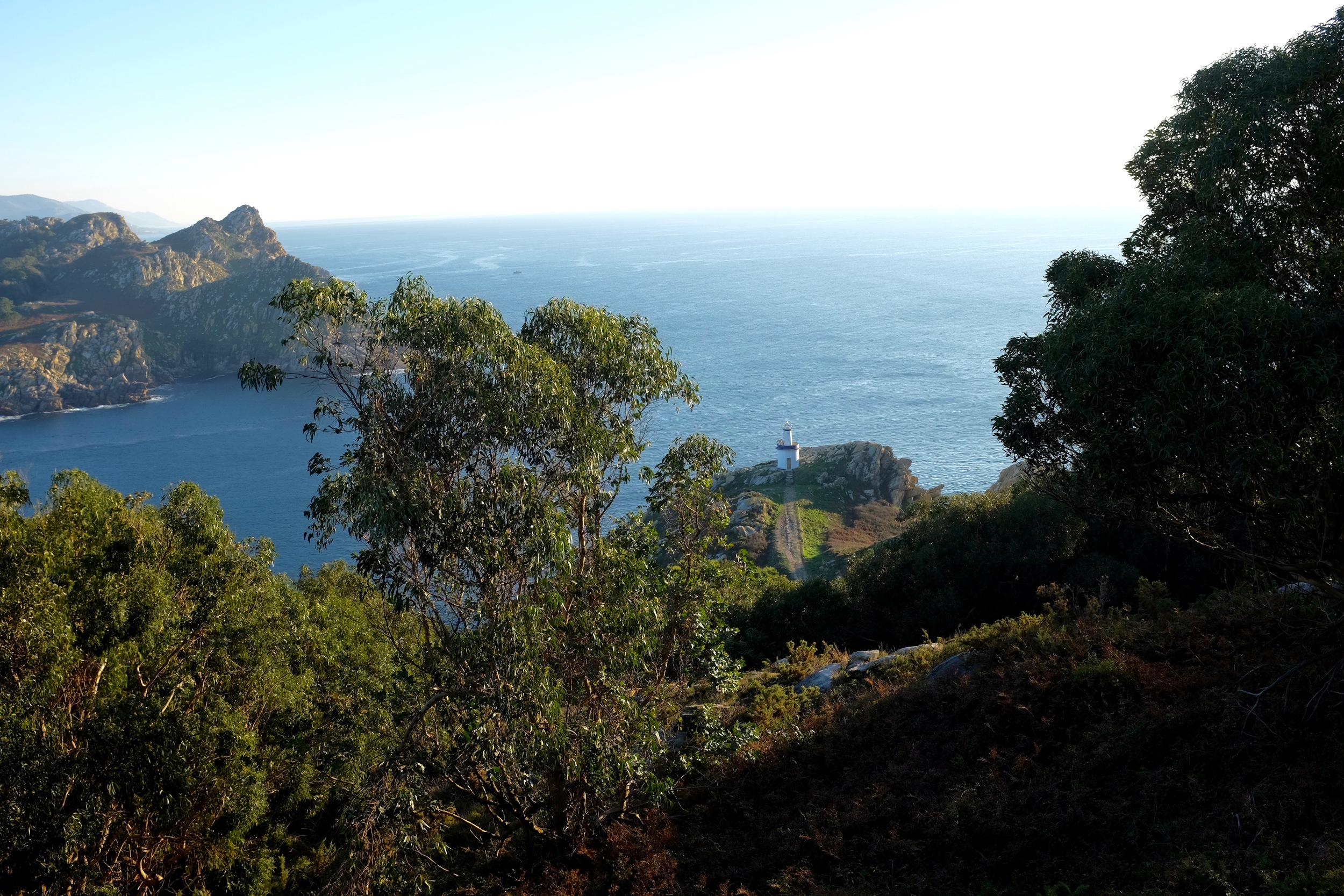 DSCF6790.jpg