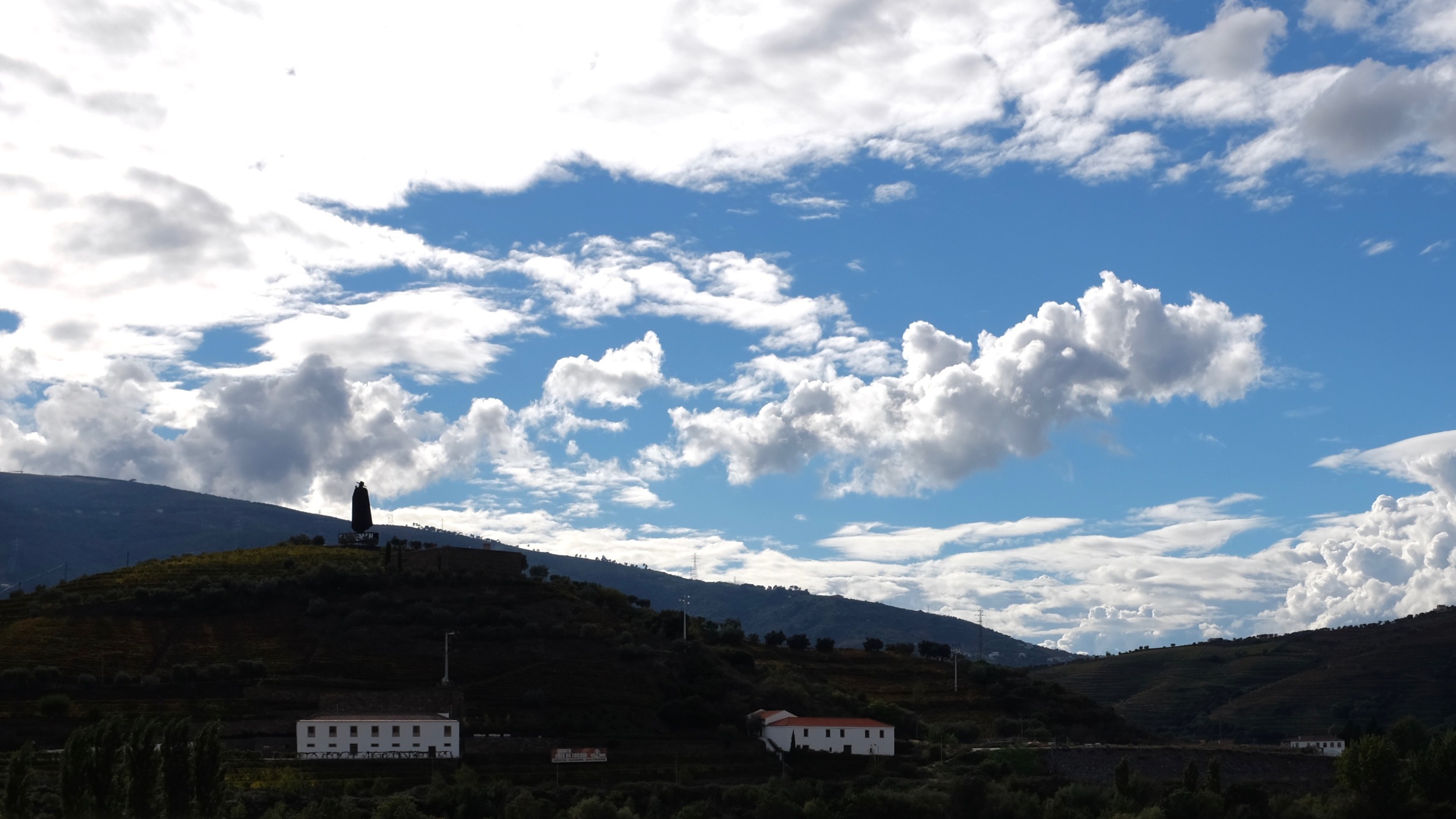DSCF7624.jpg