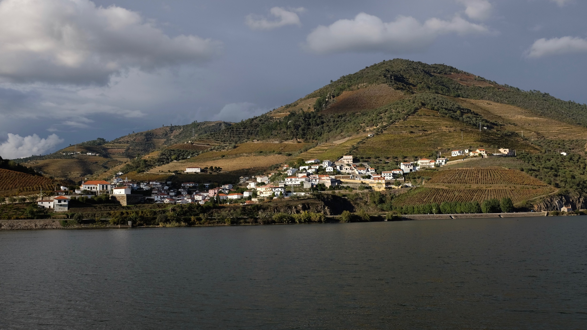 DSCF7681.jpg