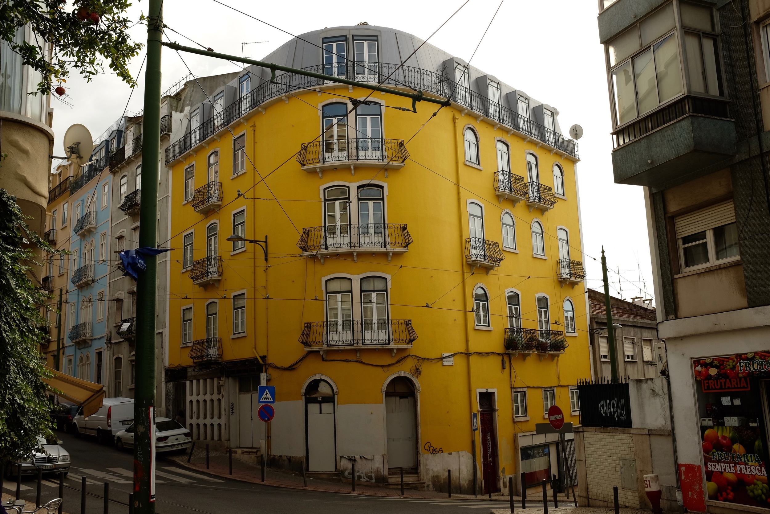 DSCF8229.jpg
