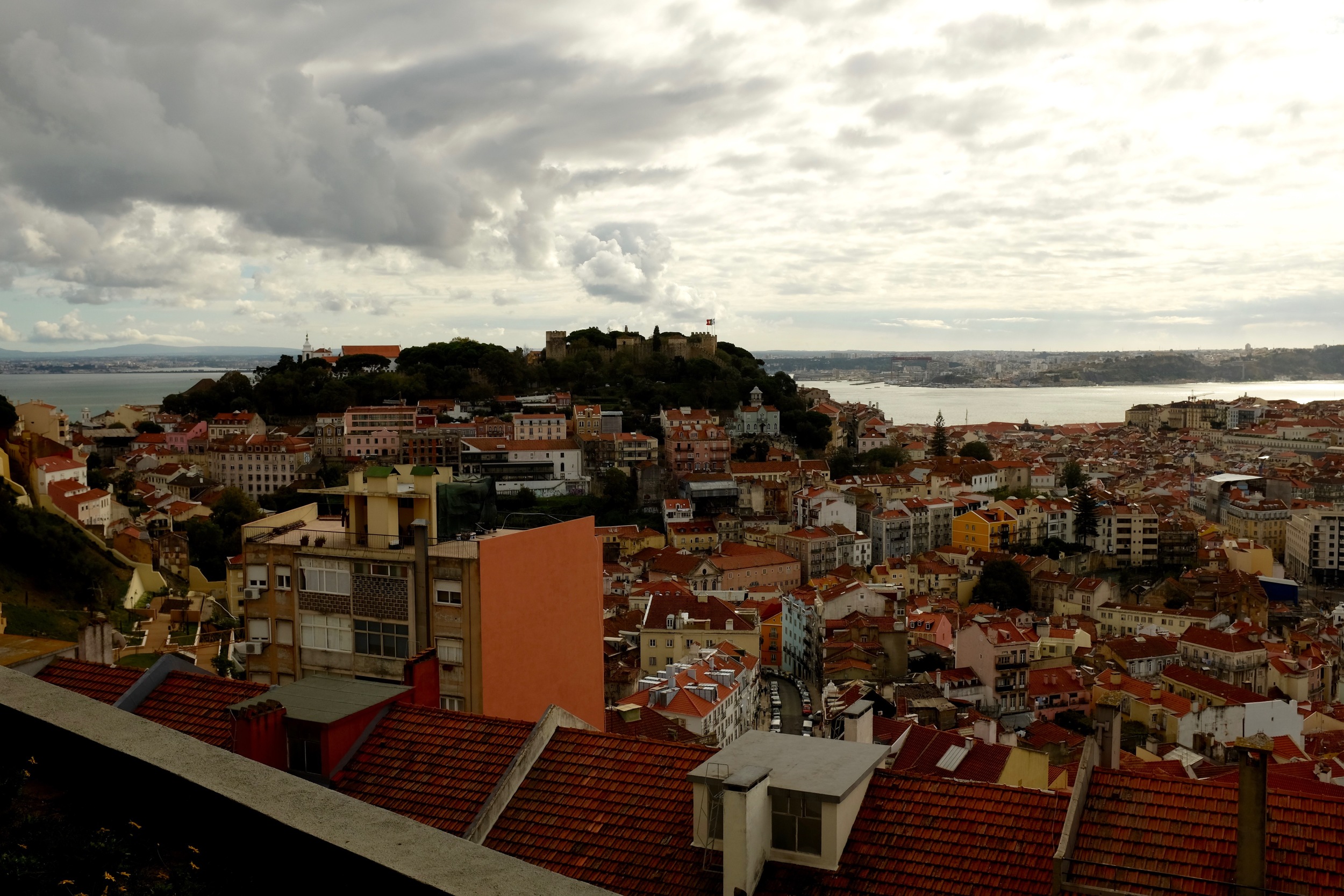 DSCF8262.jpg