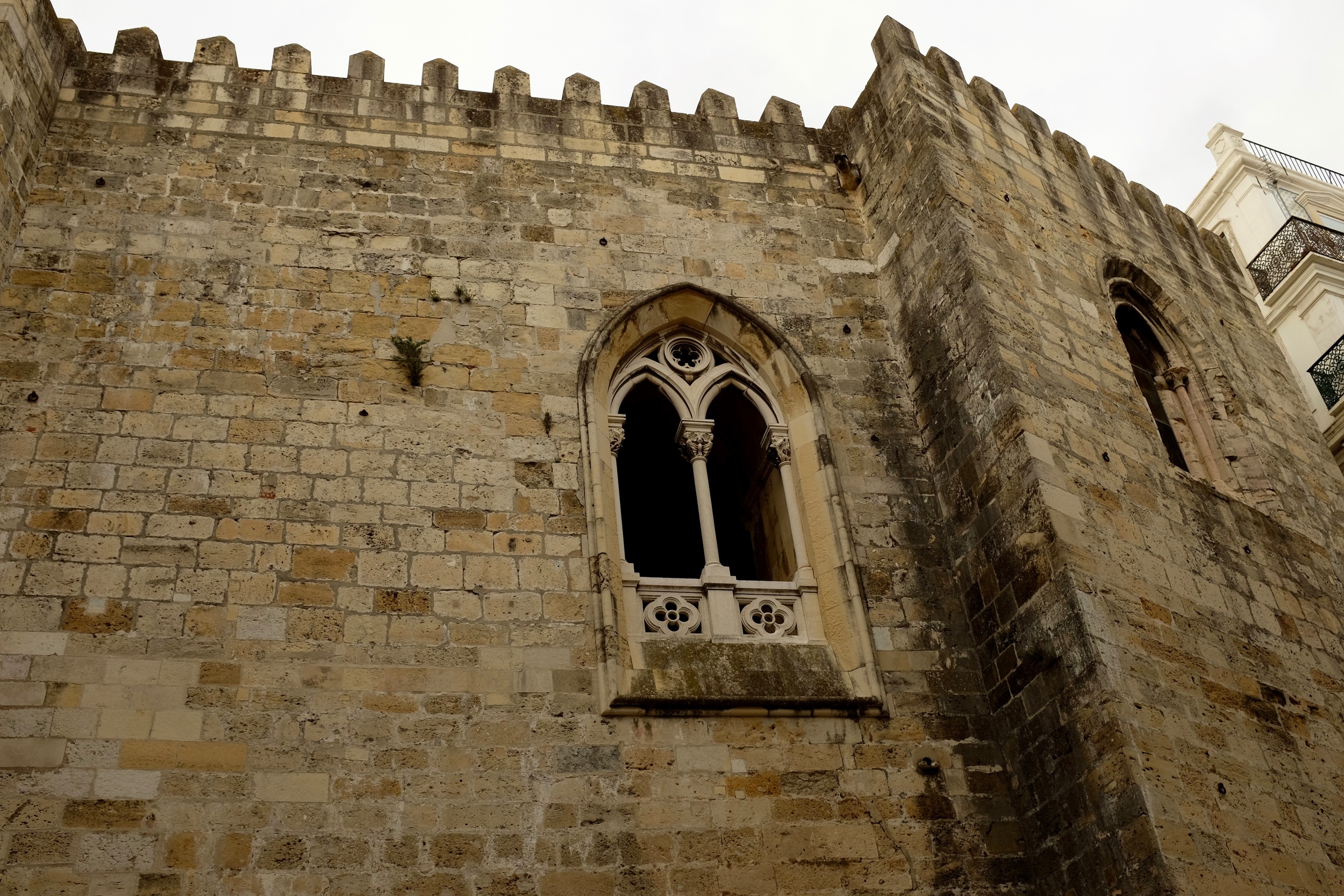 DSCF8360.jpg