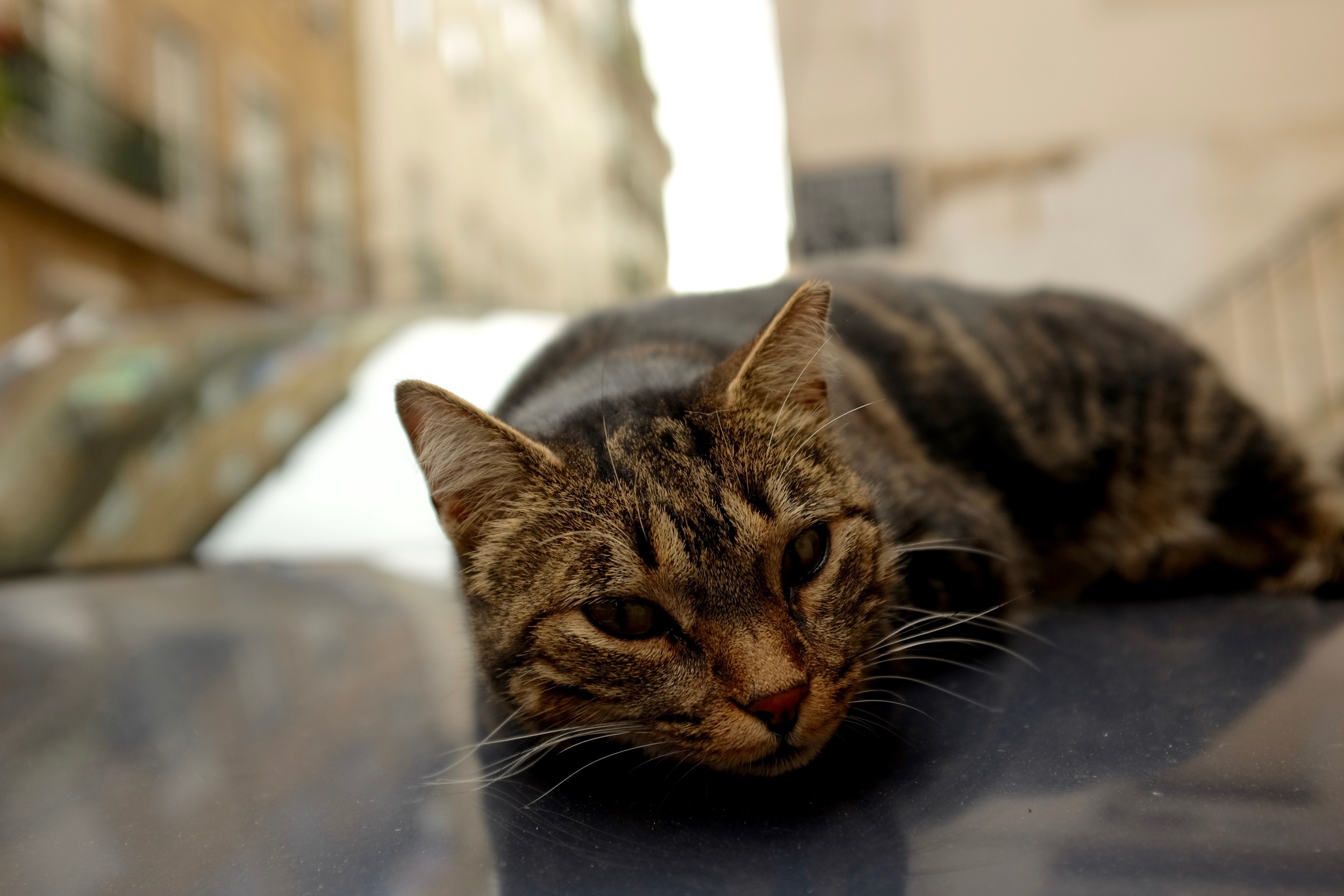 DSCF8363.jpg