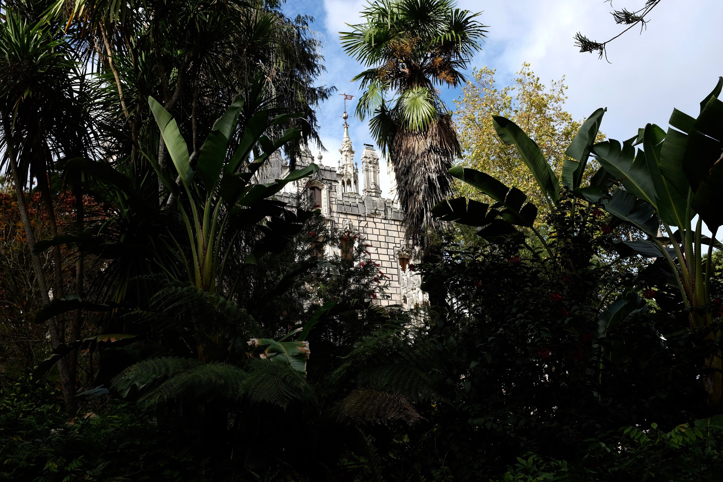 DSCF8439.jpg