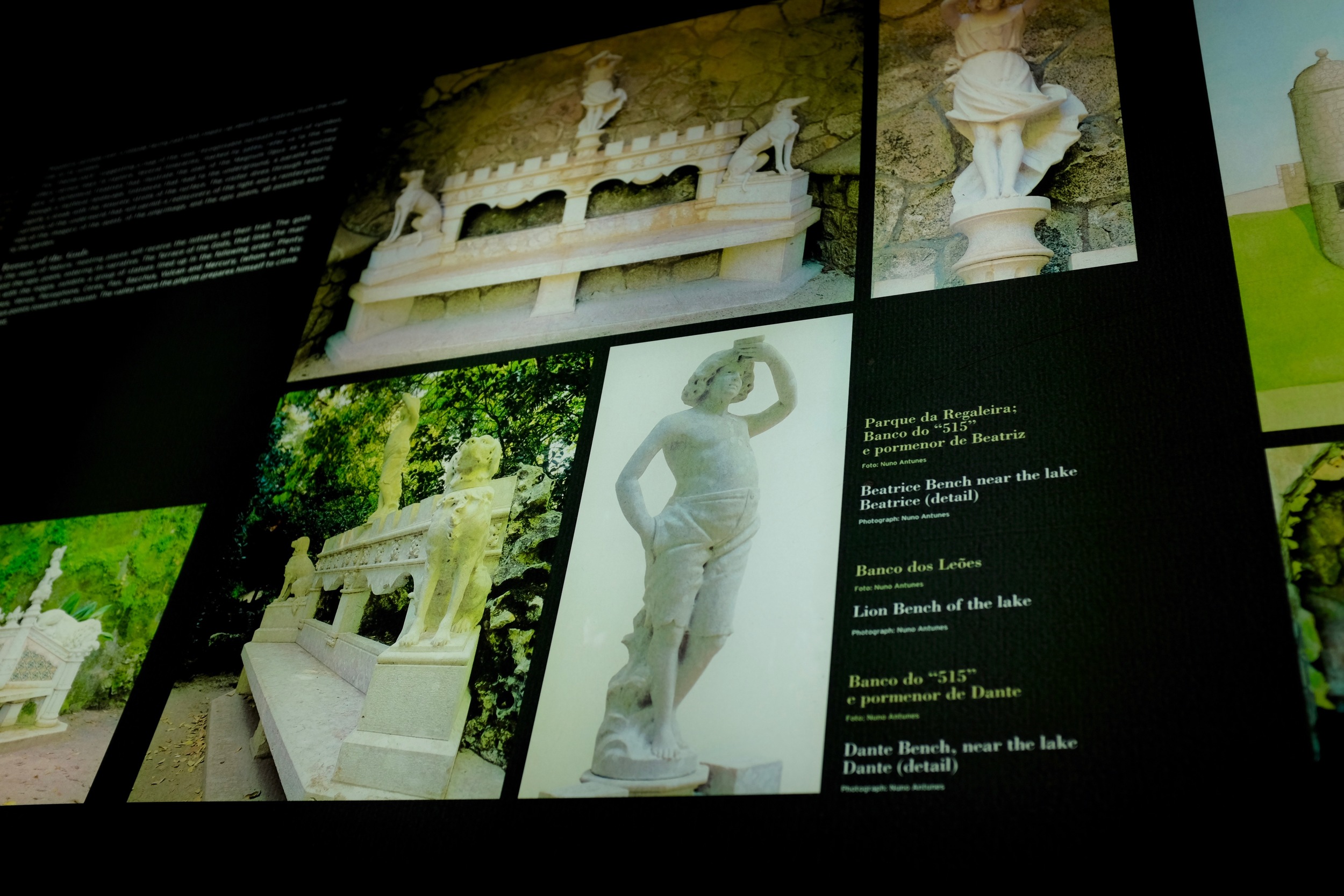 DSCF8474.jpg