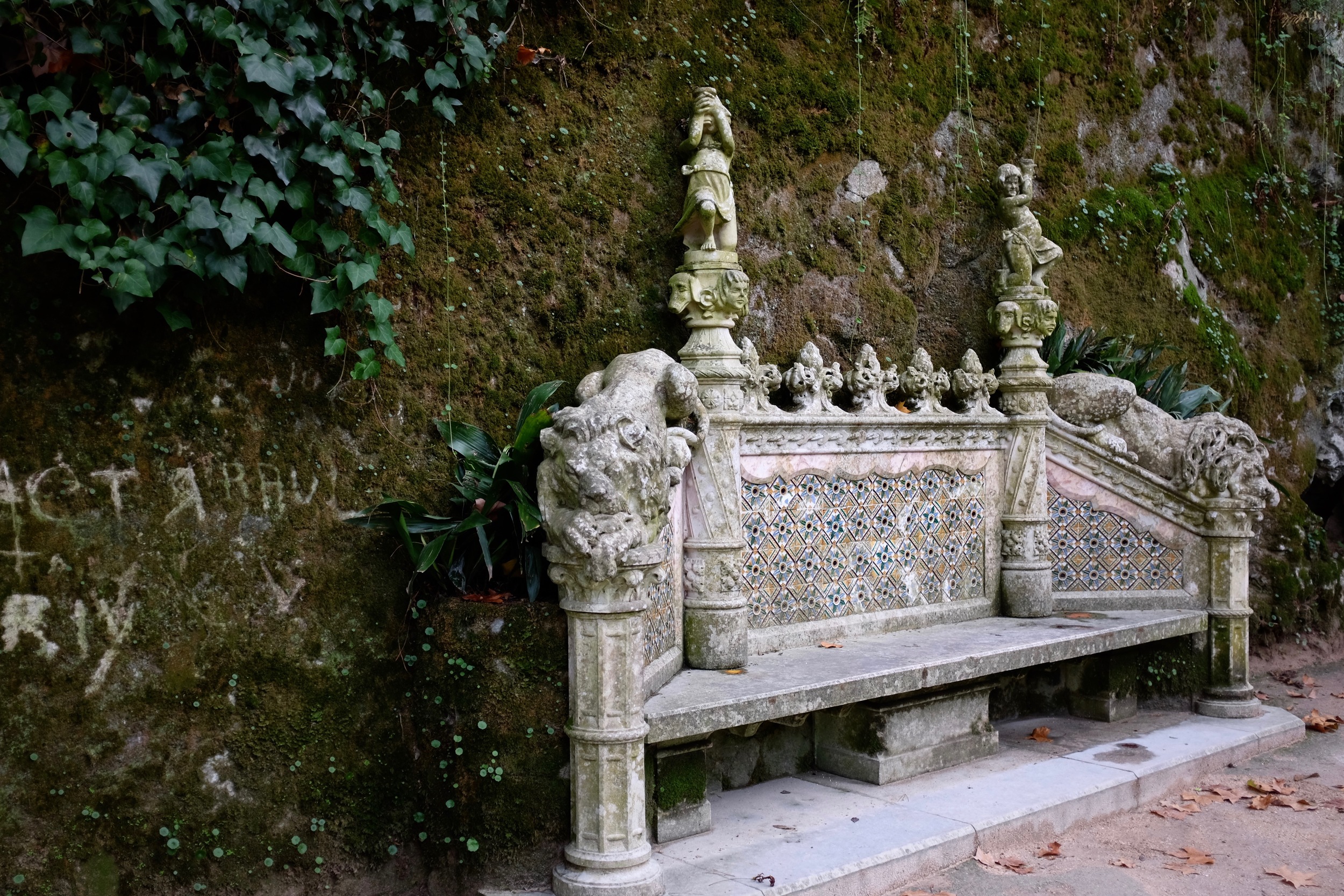 DSCF8521.jpg