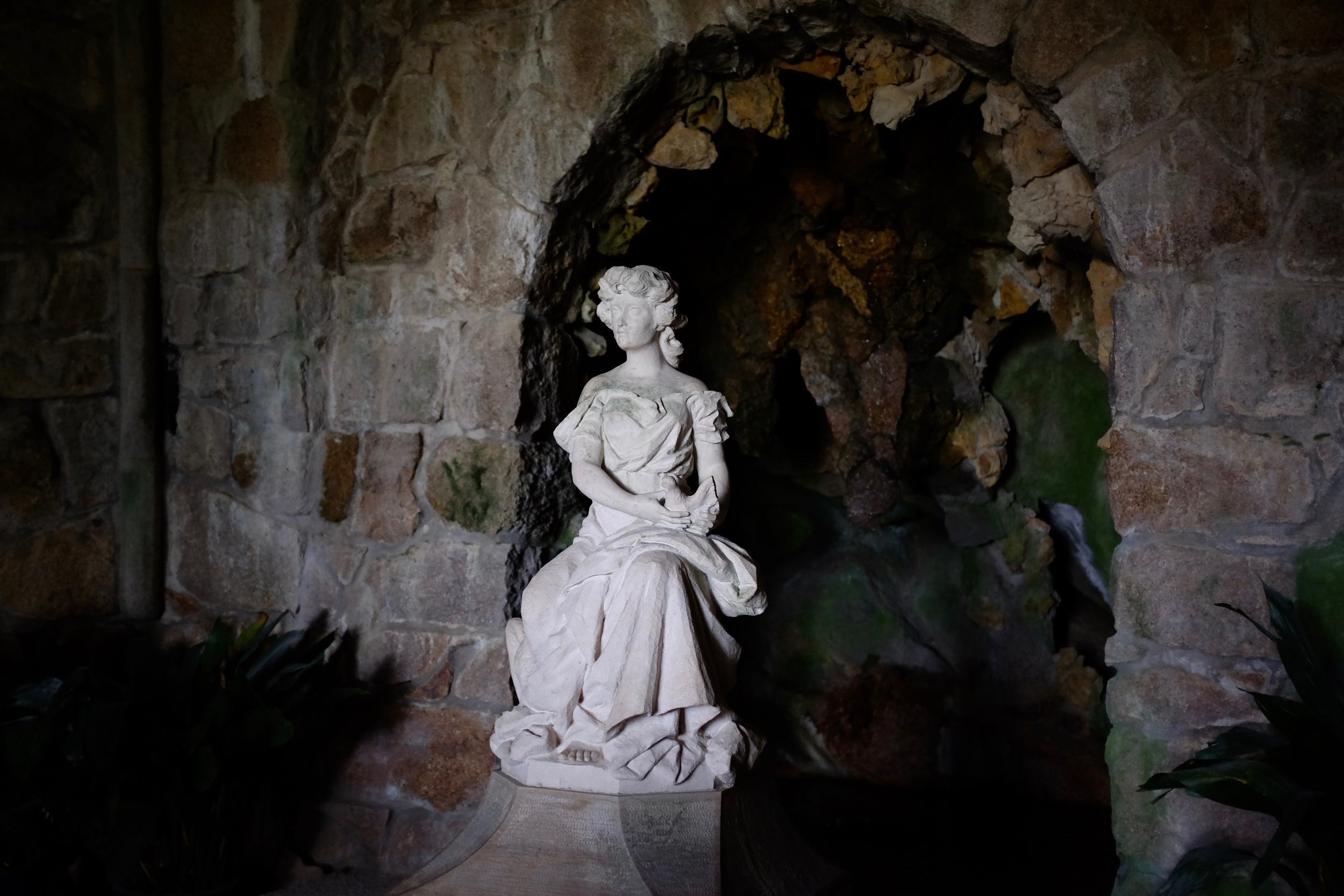 DSCF8590.jpg