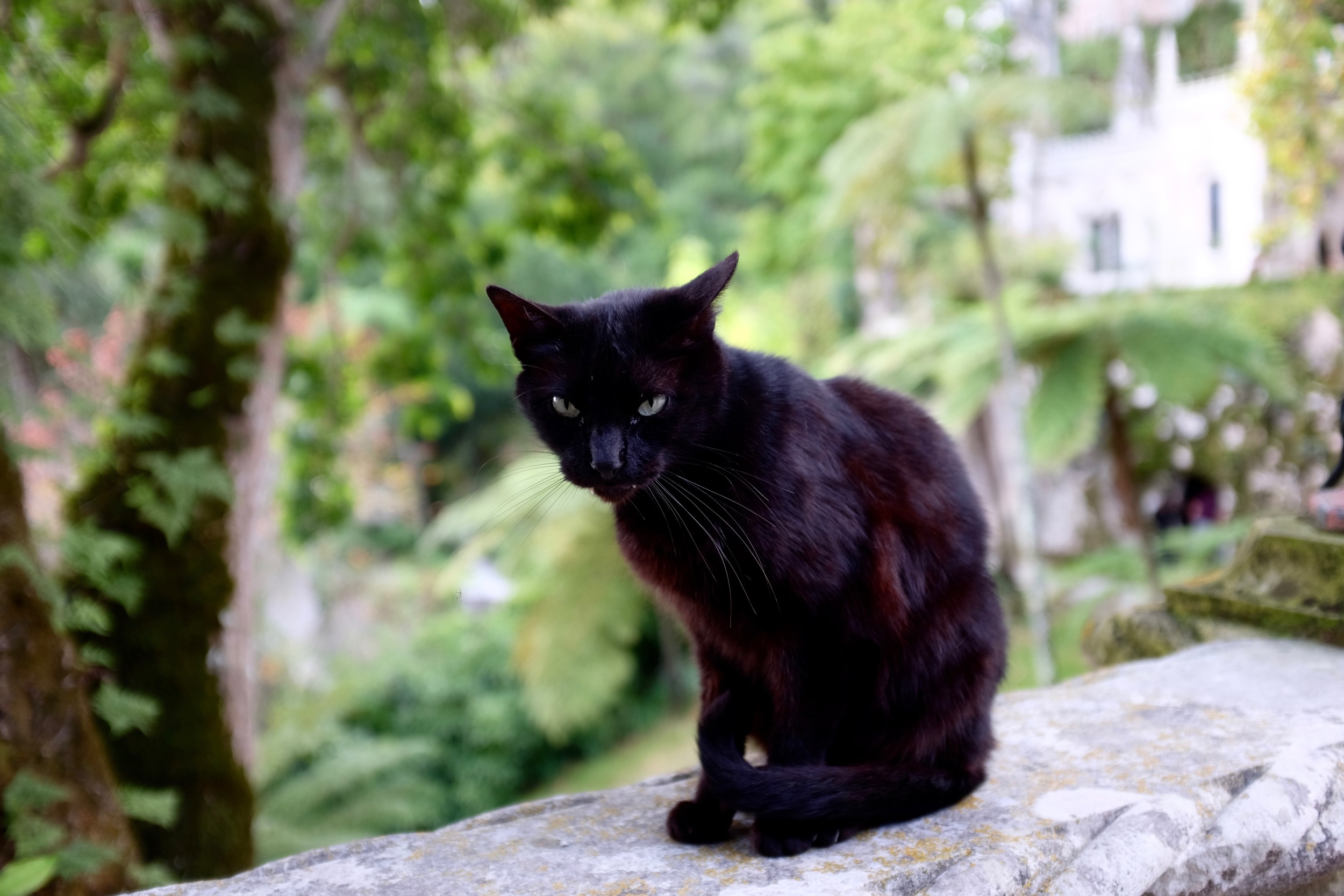 DSCF8601.jpg