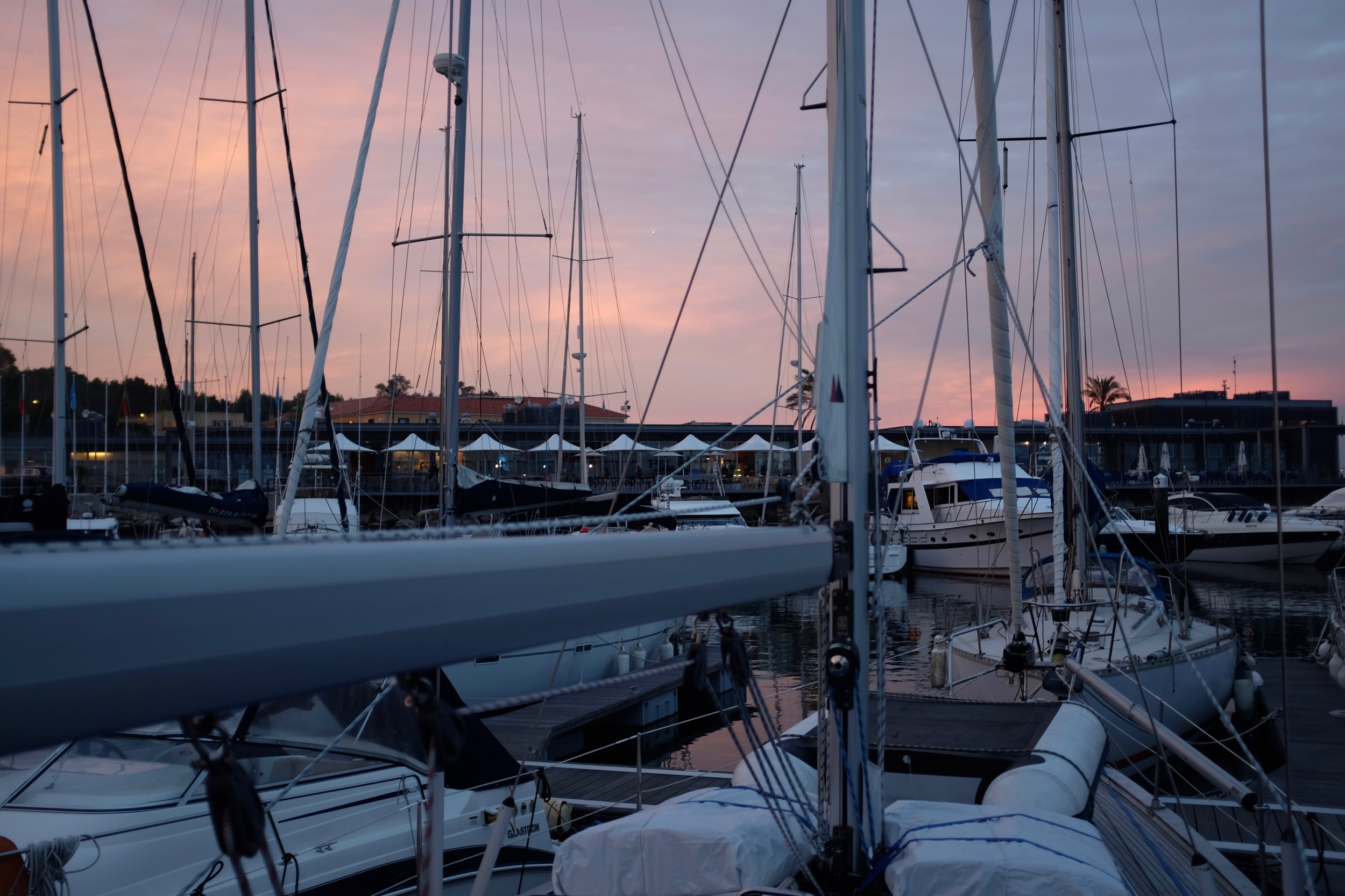 DSCF8196.jpg