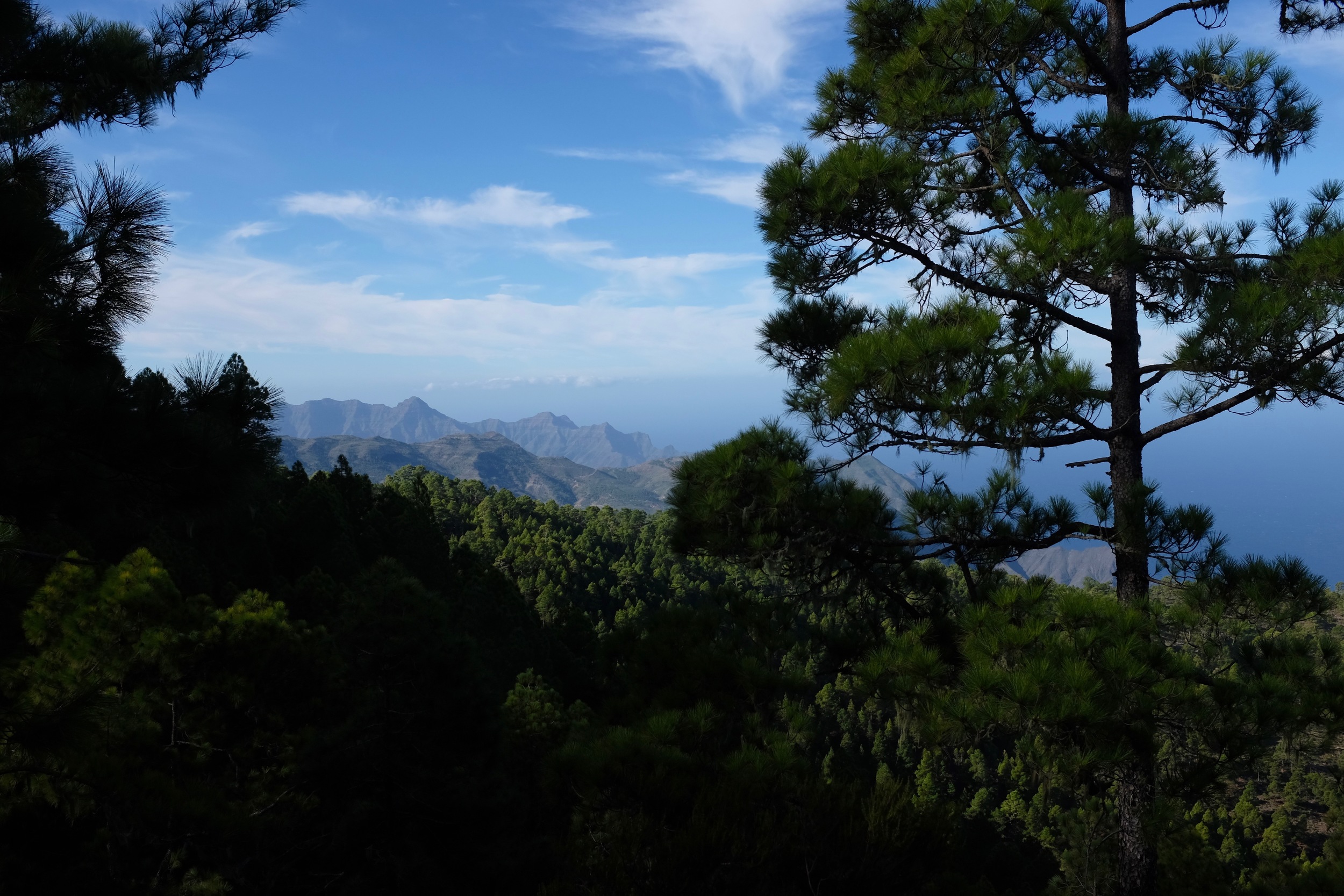 DSCF9220.jpg