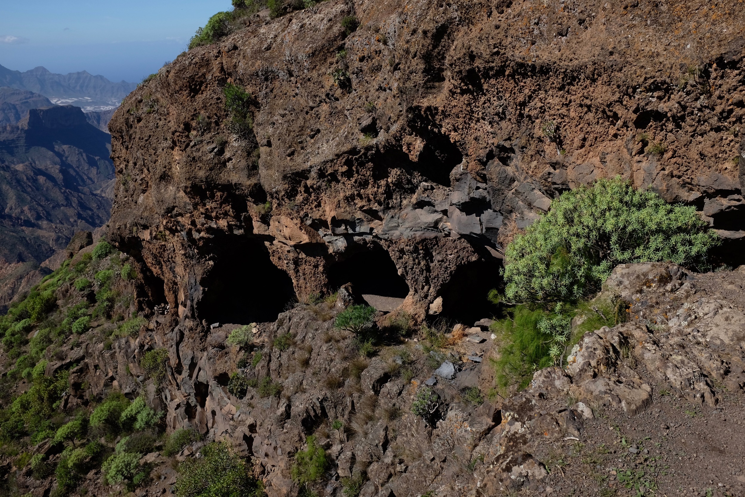 DSCF9318.jpg