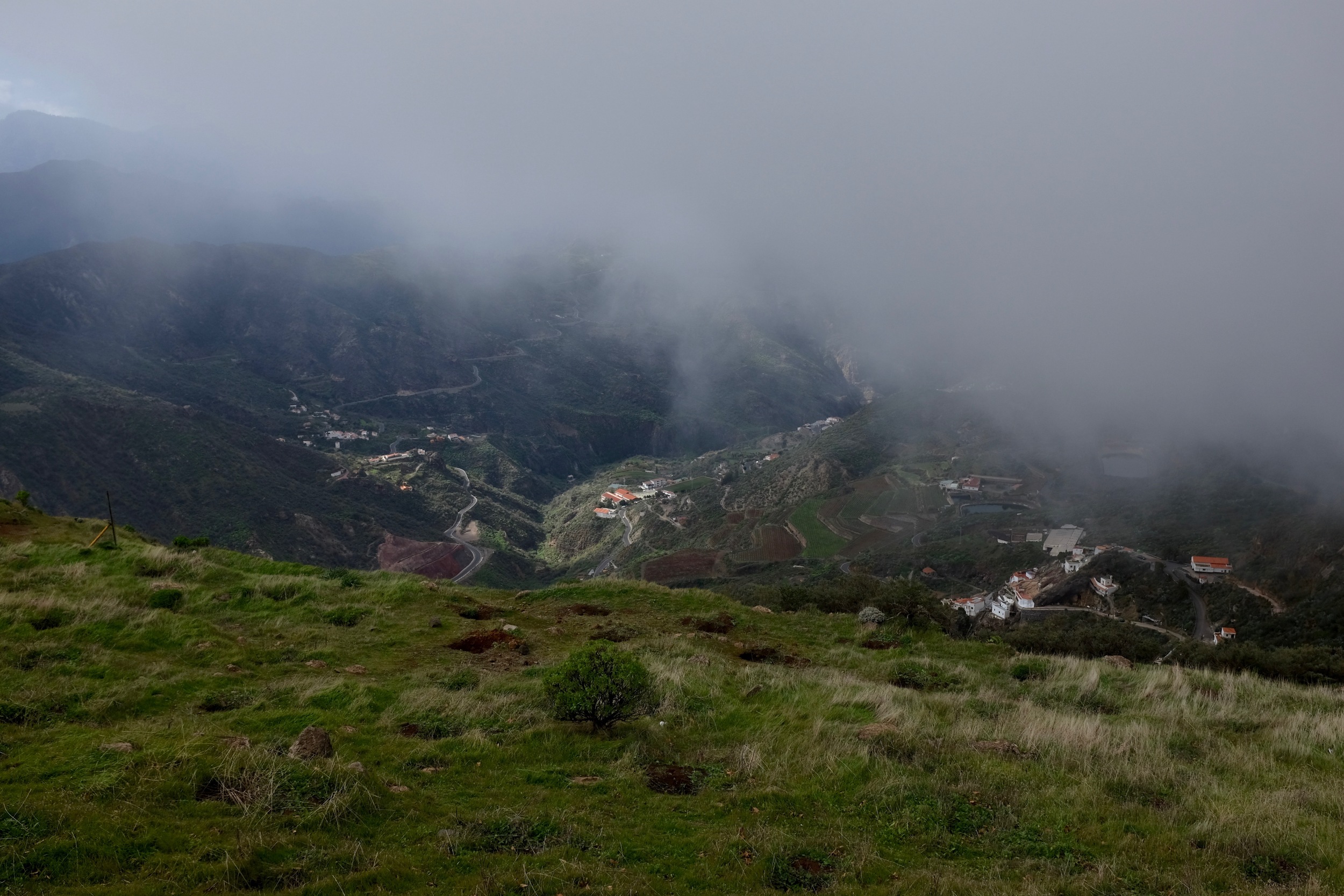DSCF9380.jpg
