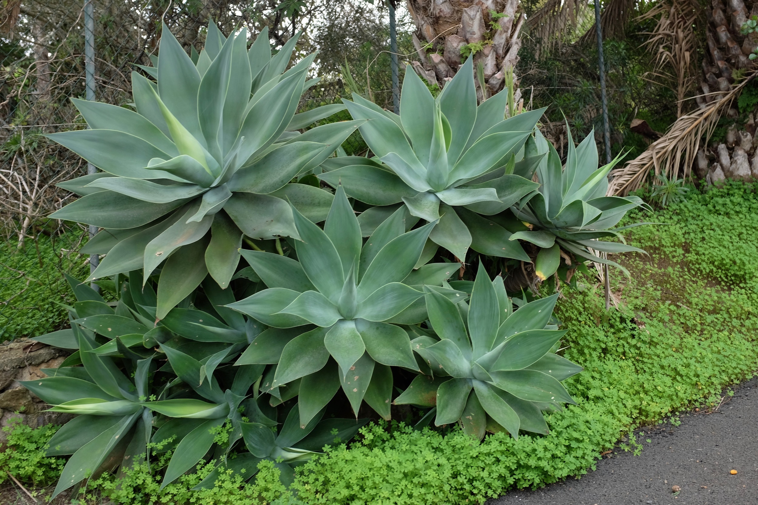 DSCF9428.jpg