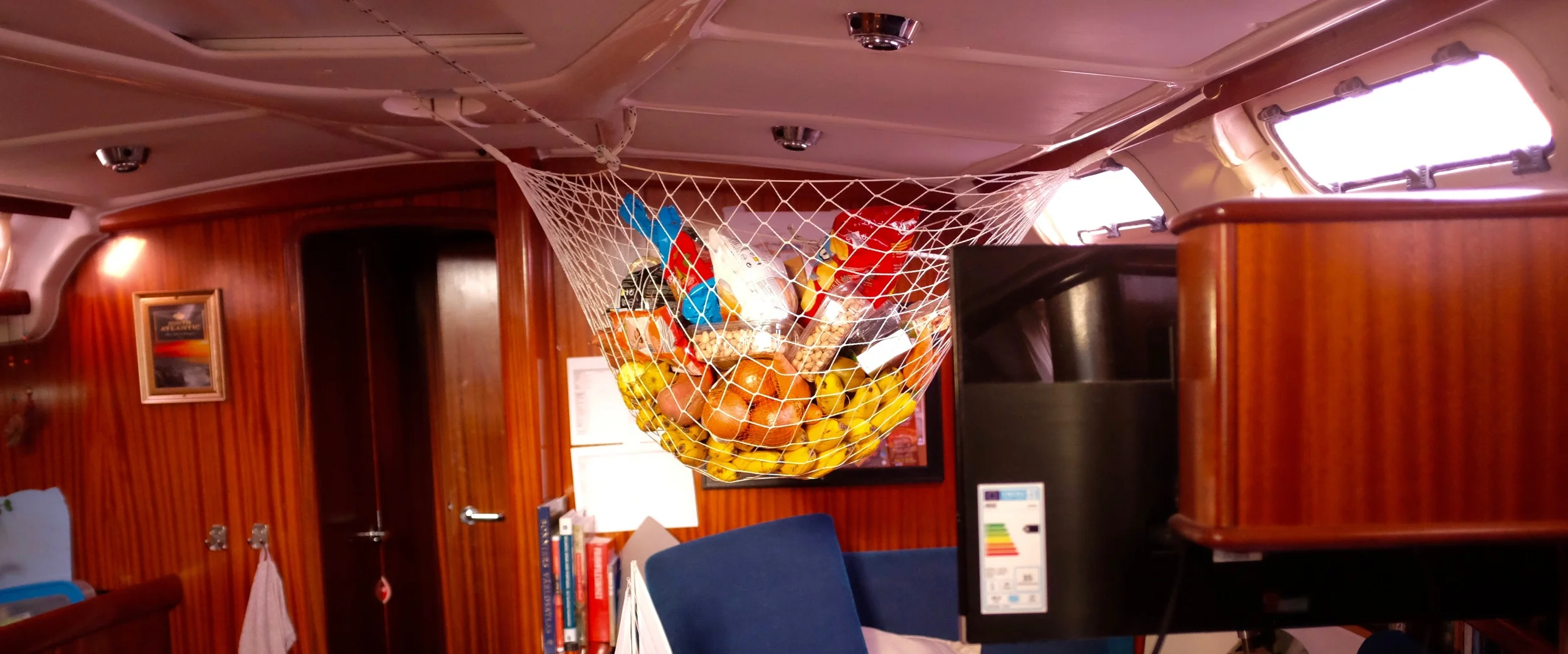 Finally got the fruit net up. :)
