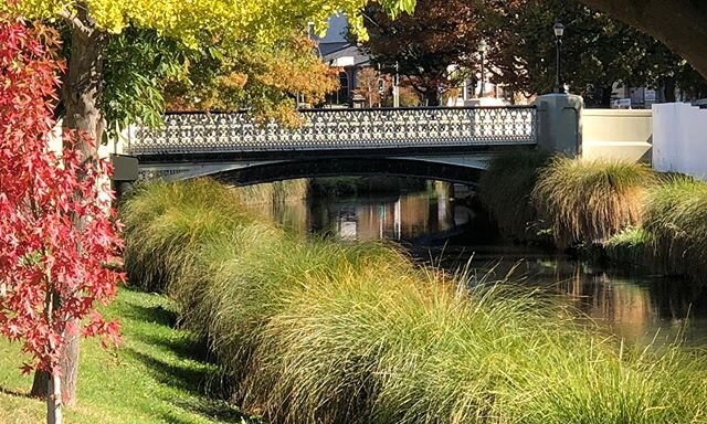 A walk in the Park!  Corona Lock Down in beautiful Christchurch! New Zealand.