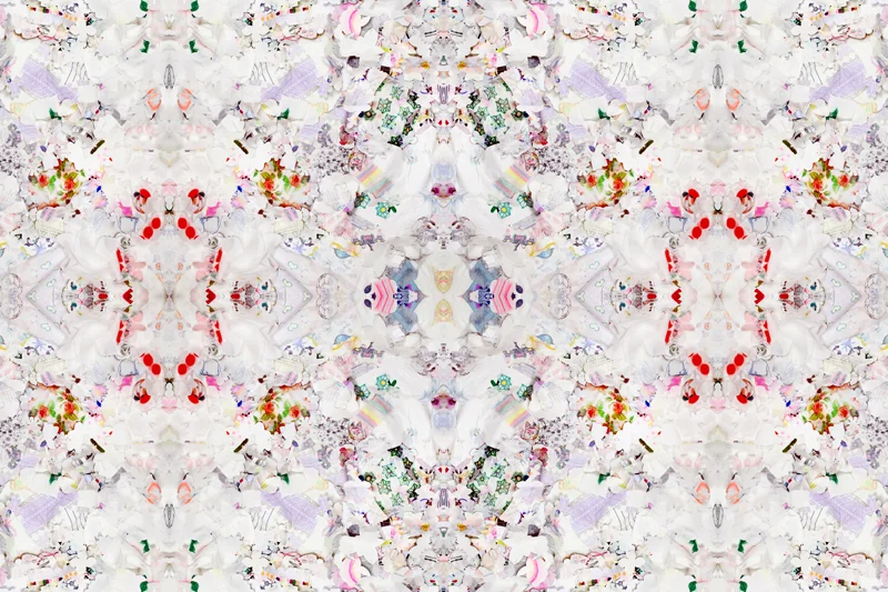 BLOOM COLLAGE1_60x40.jpg