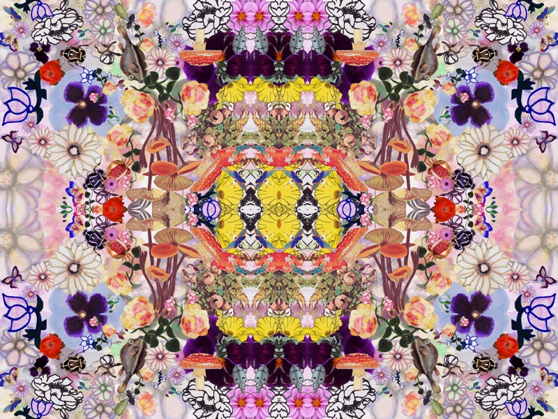 WHIMSY WALLPAPER 4_24X18.jpg