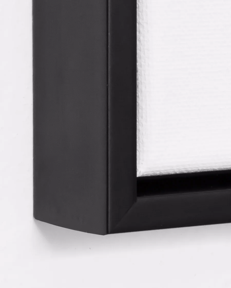 Black Canvas