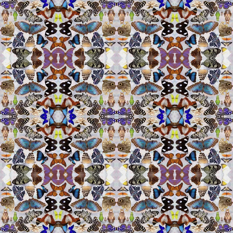 BUTTERFLY_LIGHT_ROLL_LARGE+SAMPLE_24X24.jpg