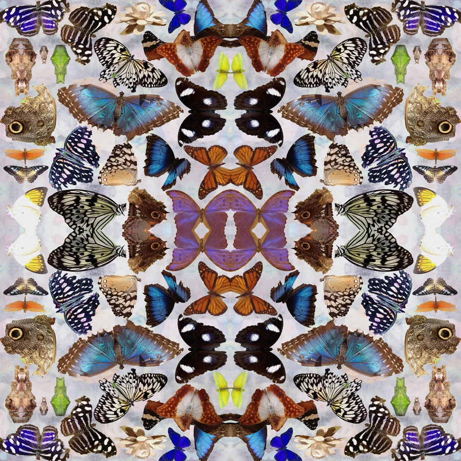 BUTTERFLY_LIGHT_ROLL_REPEAT_12X12.jpg