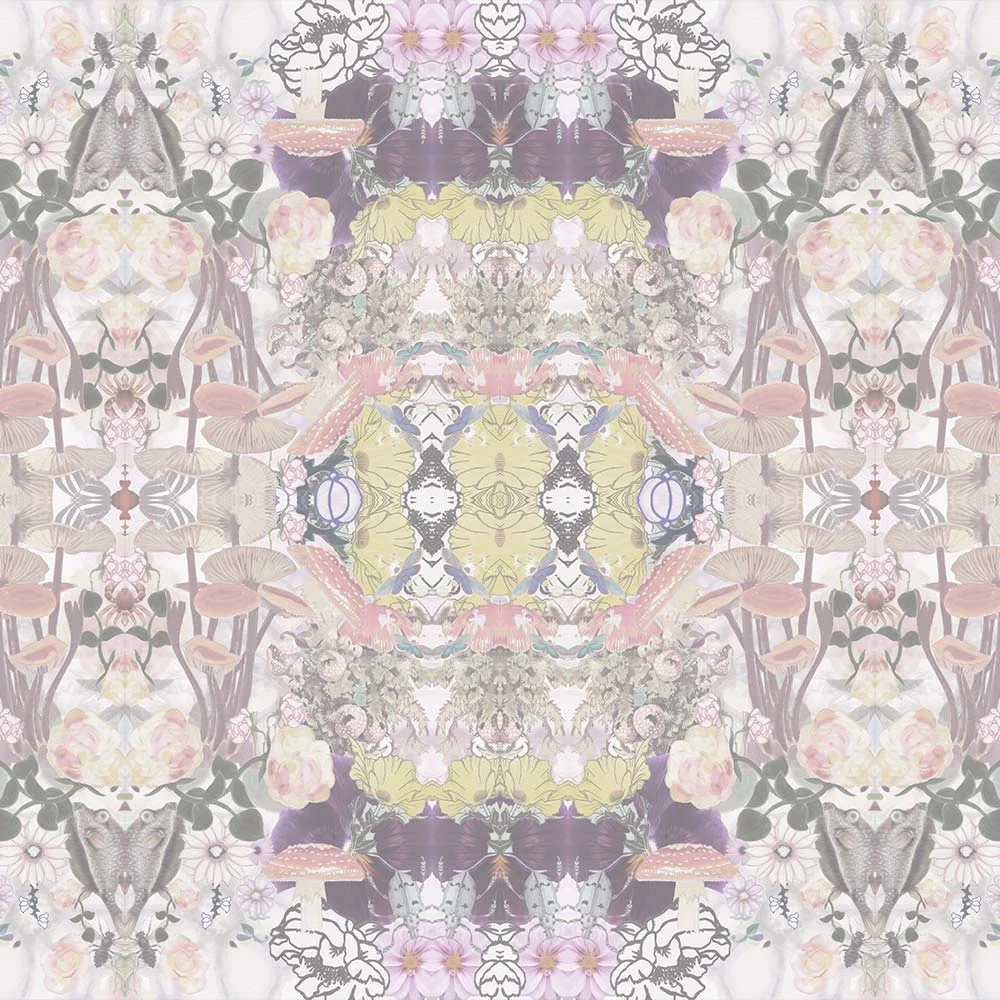 WHIMSY - SOFT GLOW