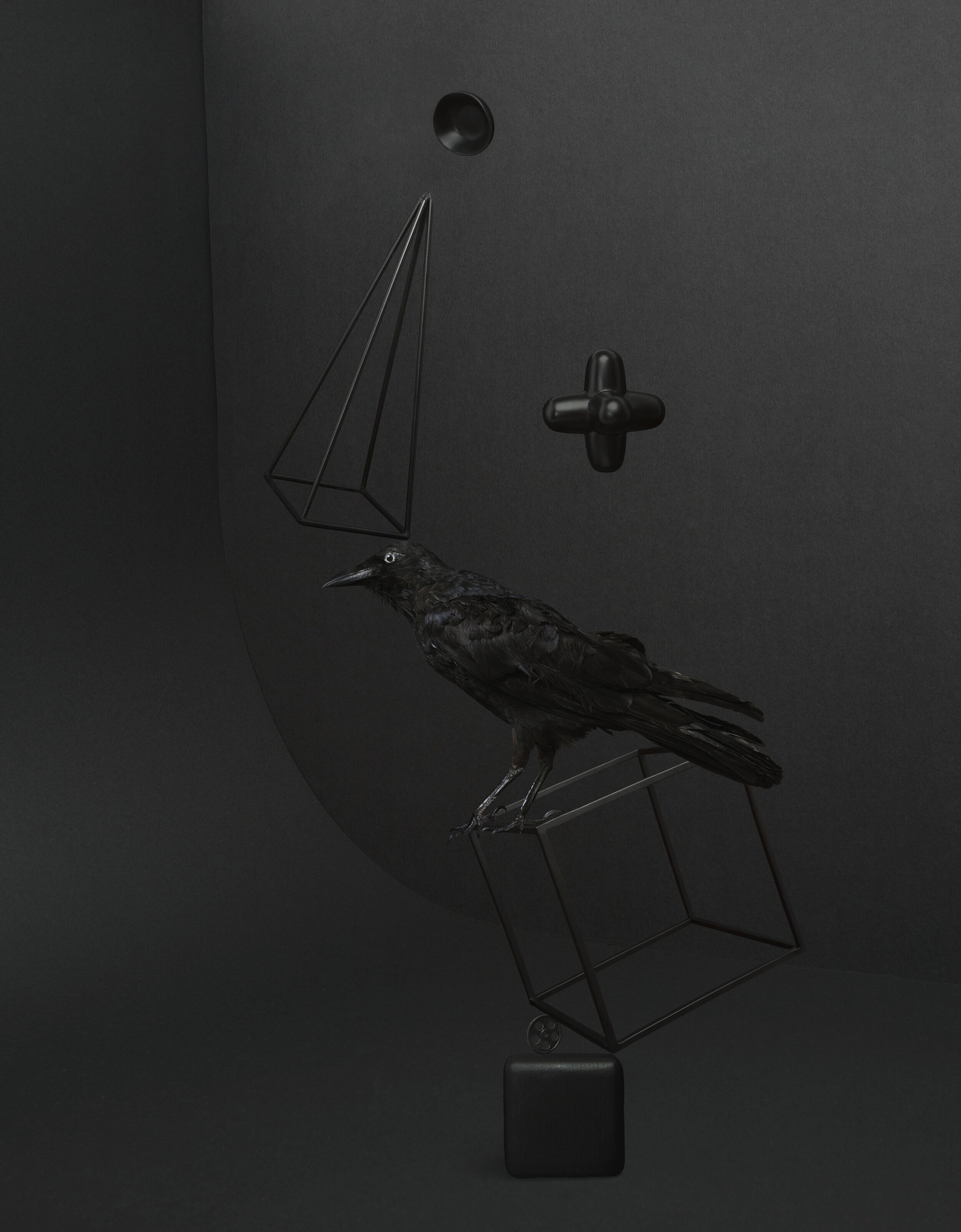 Balancing Act - Crow