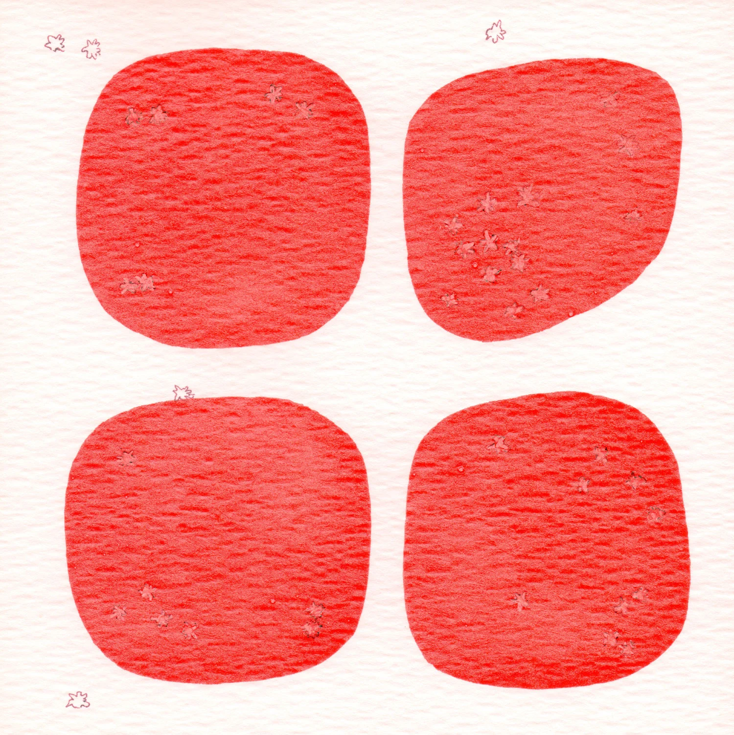 CELLULE.-ROSSO.--1.jpg