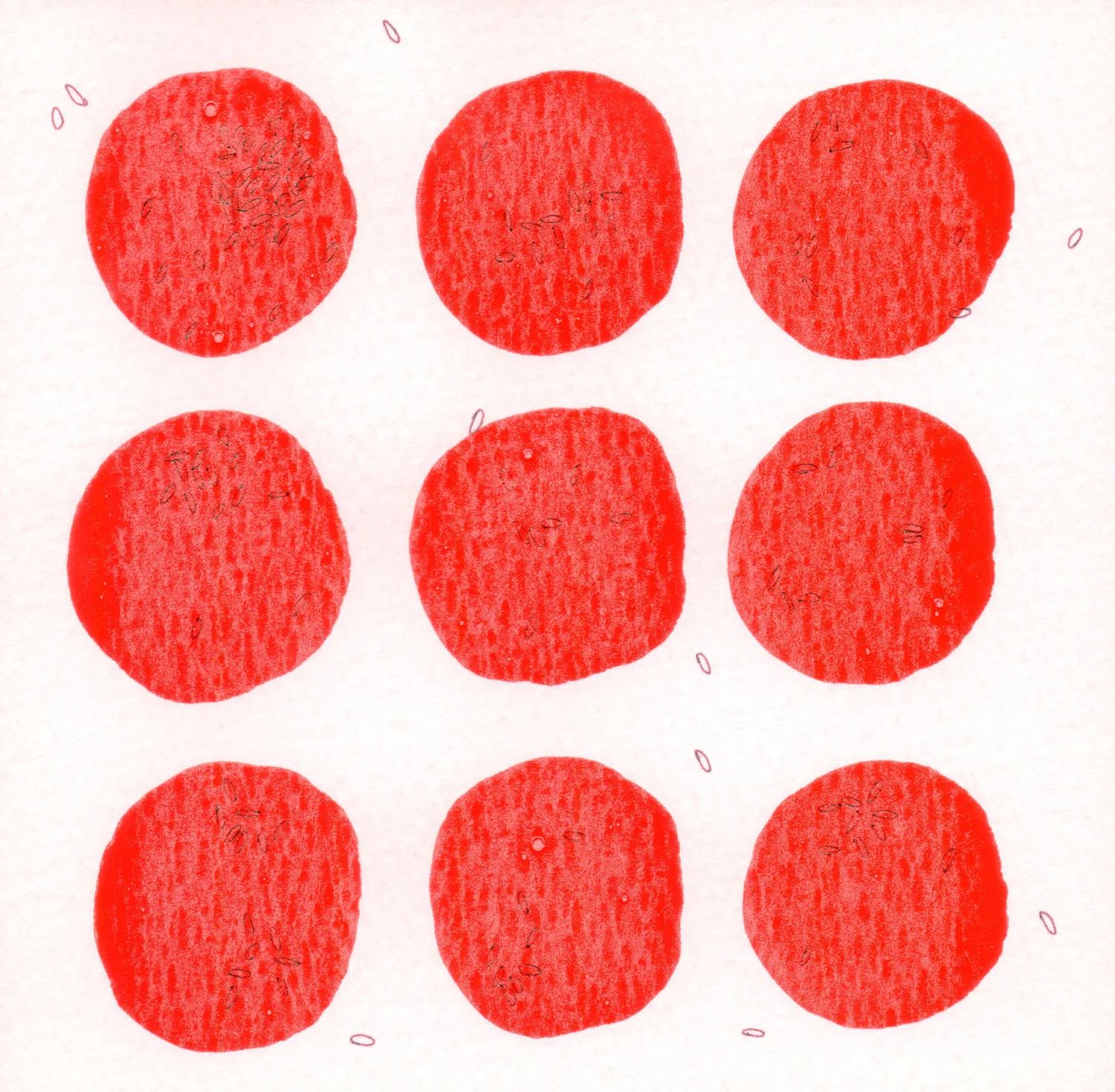 CELLULE.-ROSSO.--5.jpg