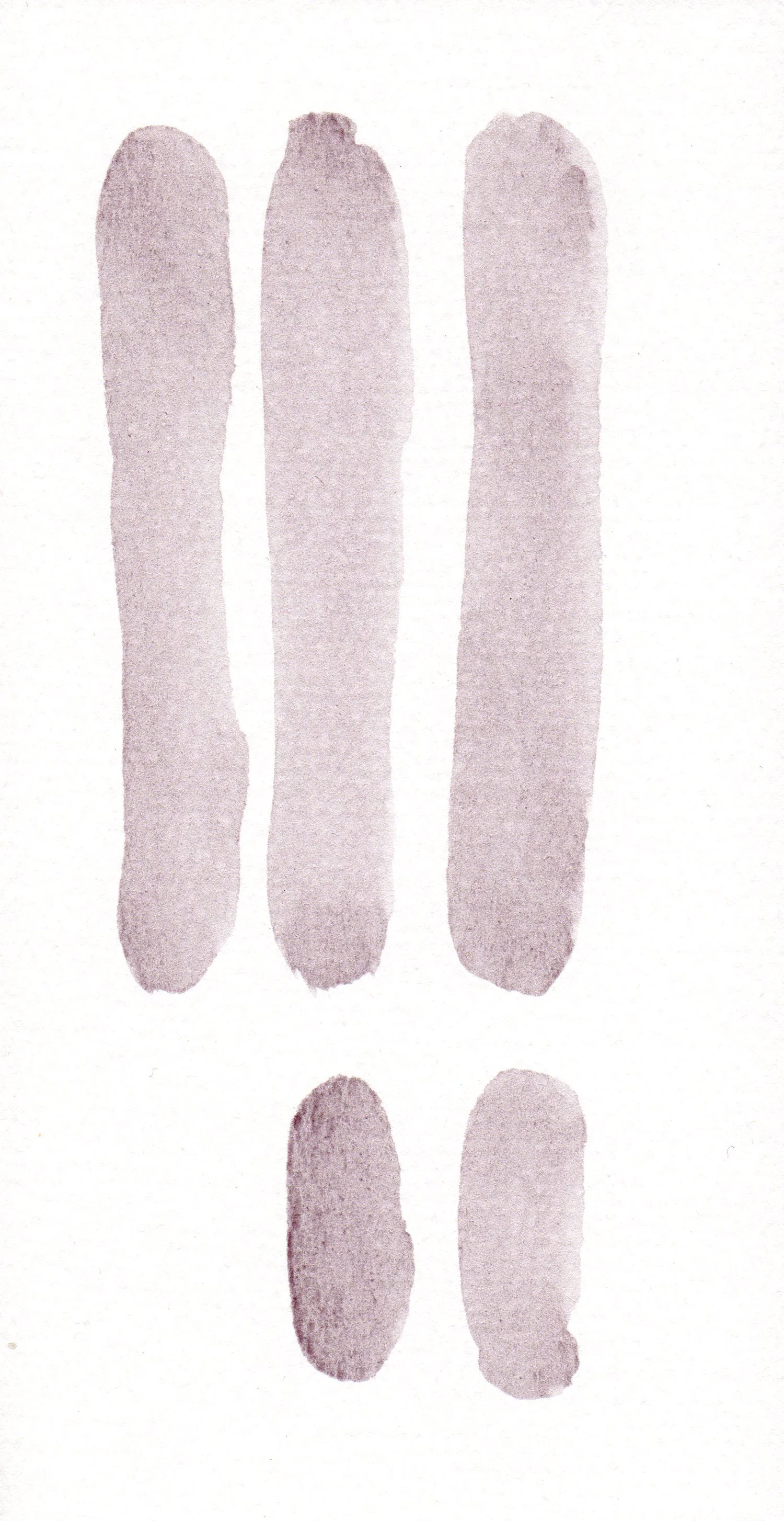 CELLULE.-GRIGIO-1.jpg