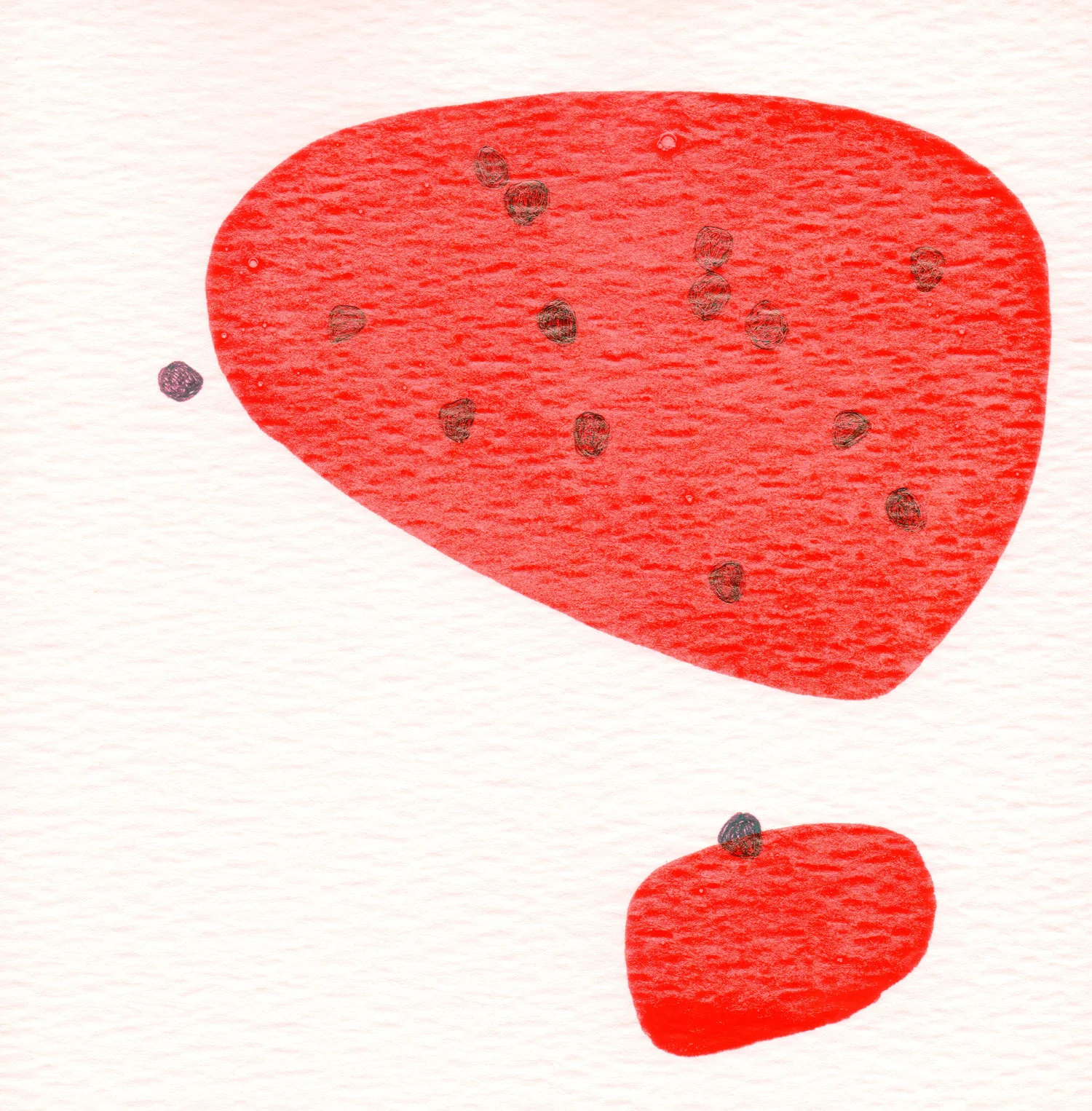 CELLULE.-ROSSO.--9.jpg