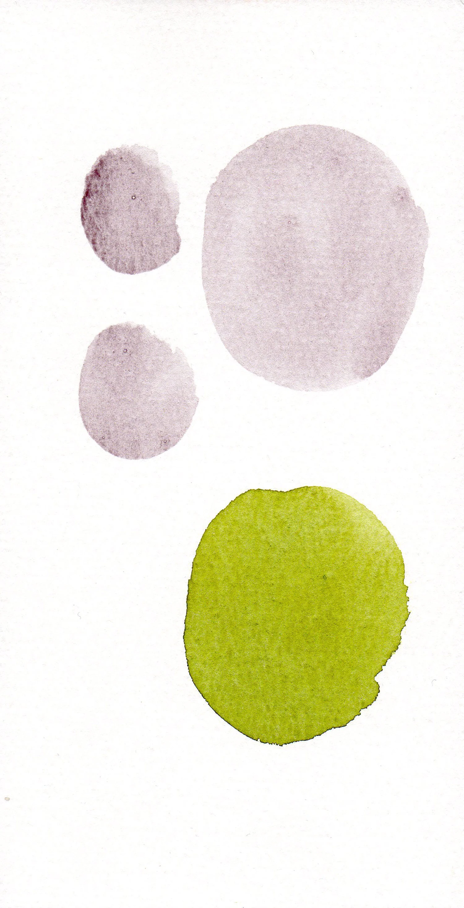 CELLULE.-GRIGIO-9.jpg