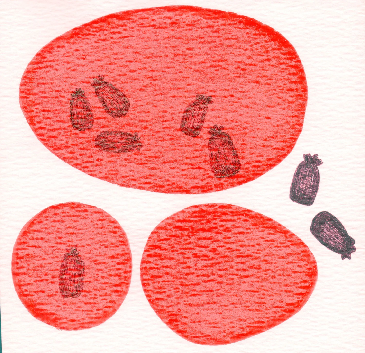 CELLULE.-ROSSO.--11.jpg