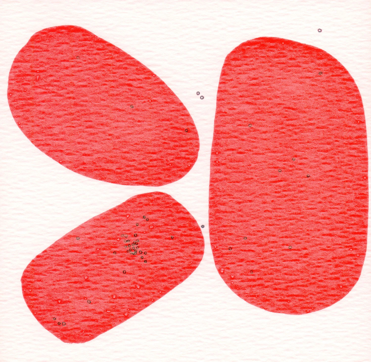 CELLULE.-ROSSO.--13.jpg