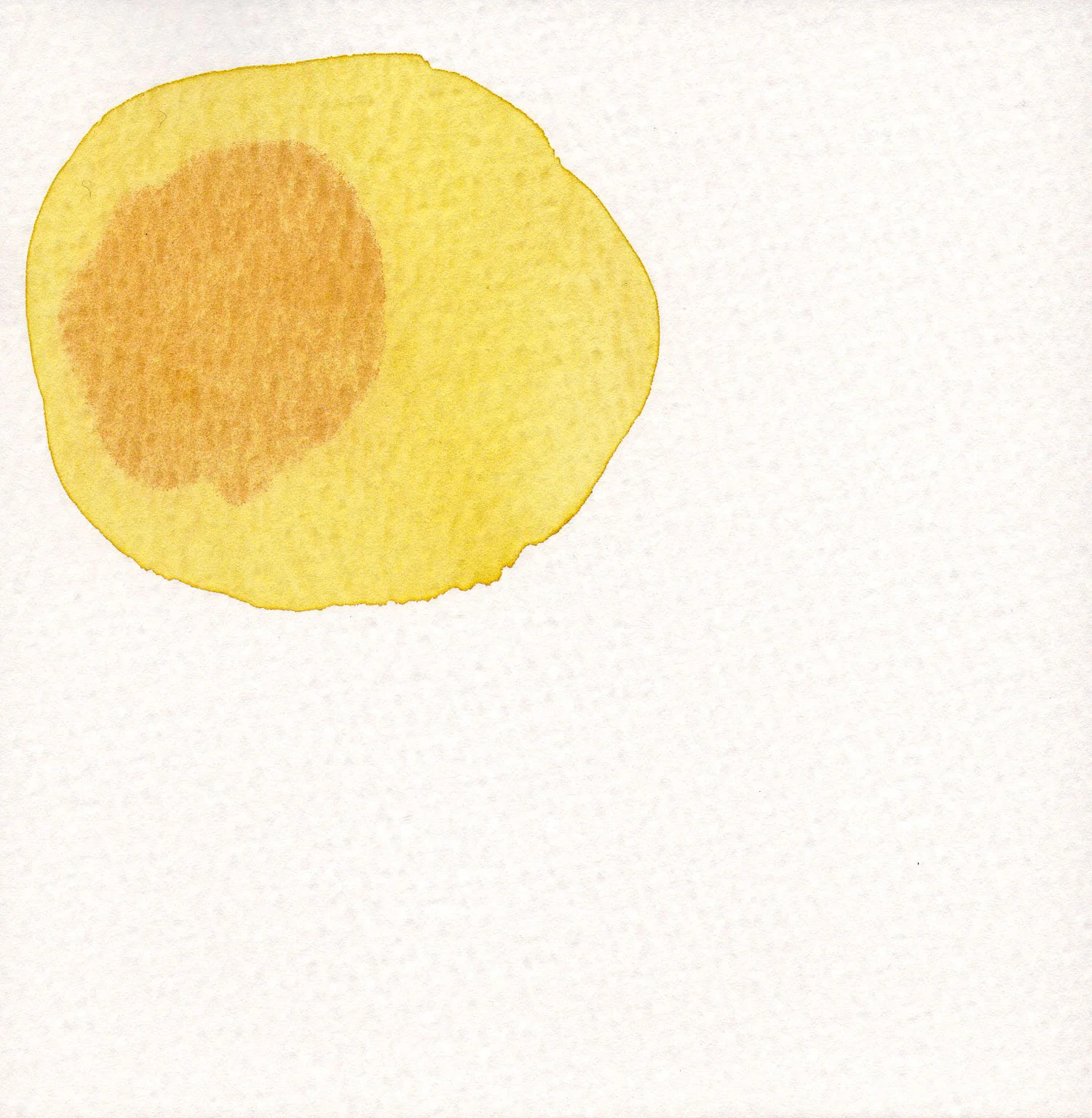 CELLULE.-TERRA.-3.jpg