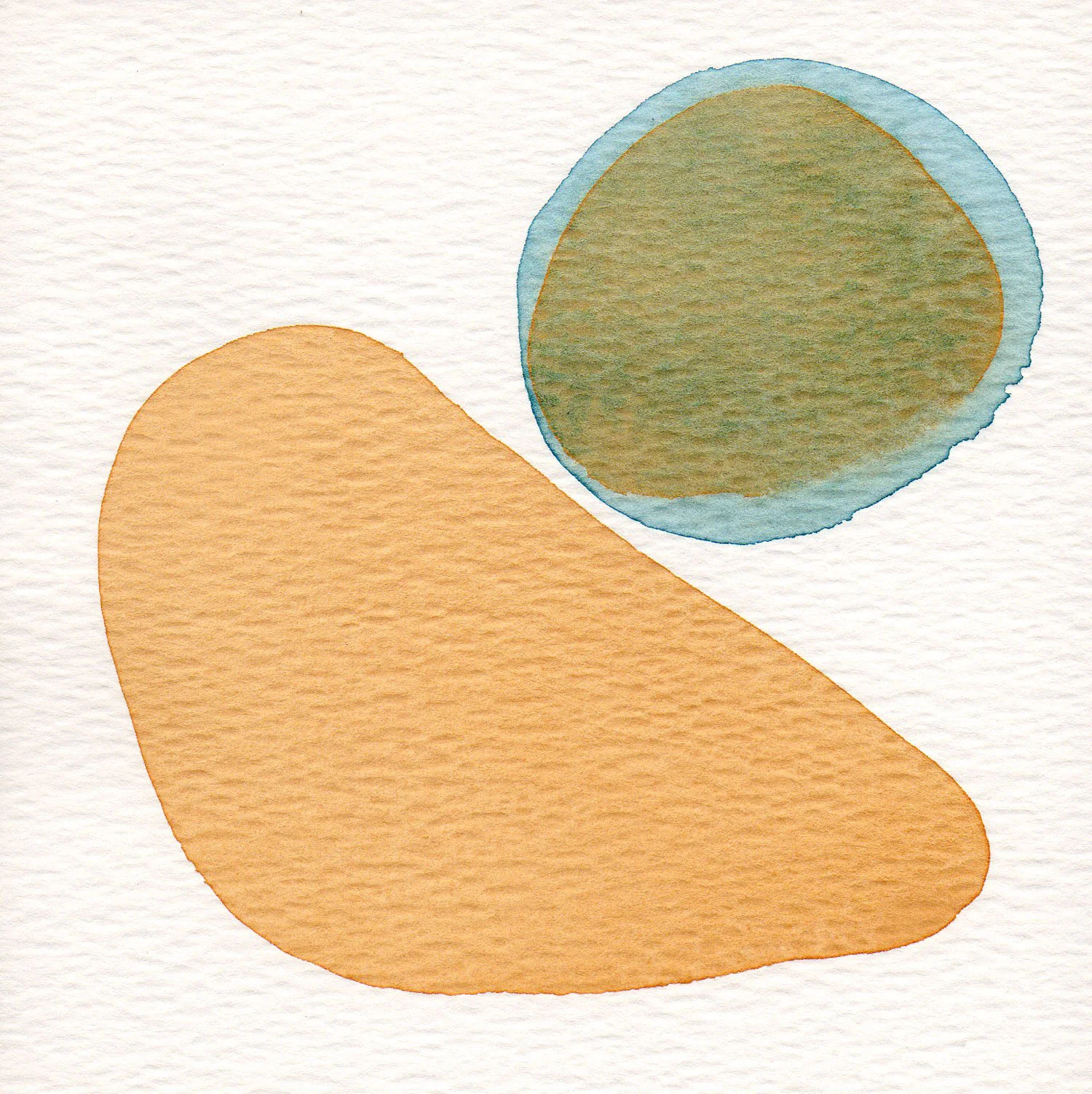 CELLULE.-TERRA.-6.jpg