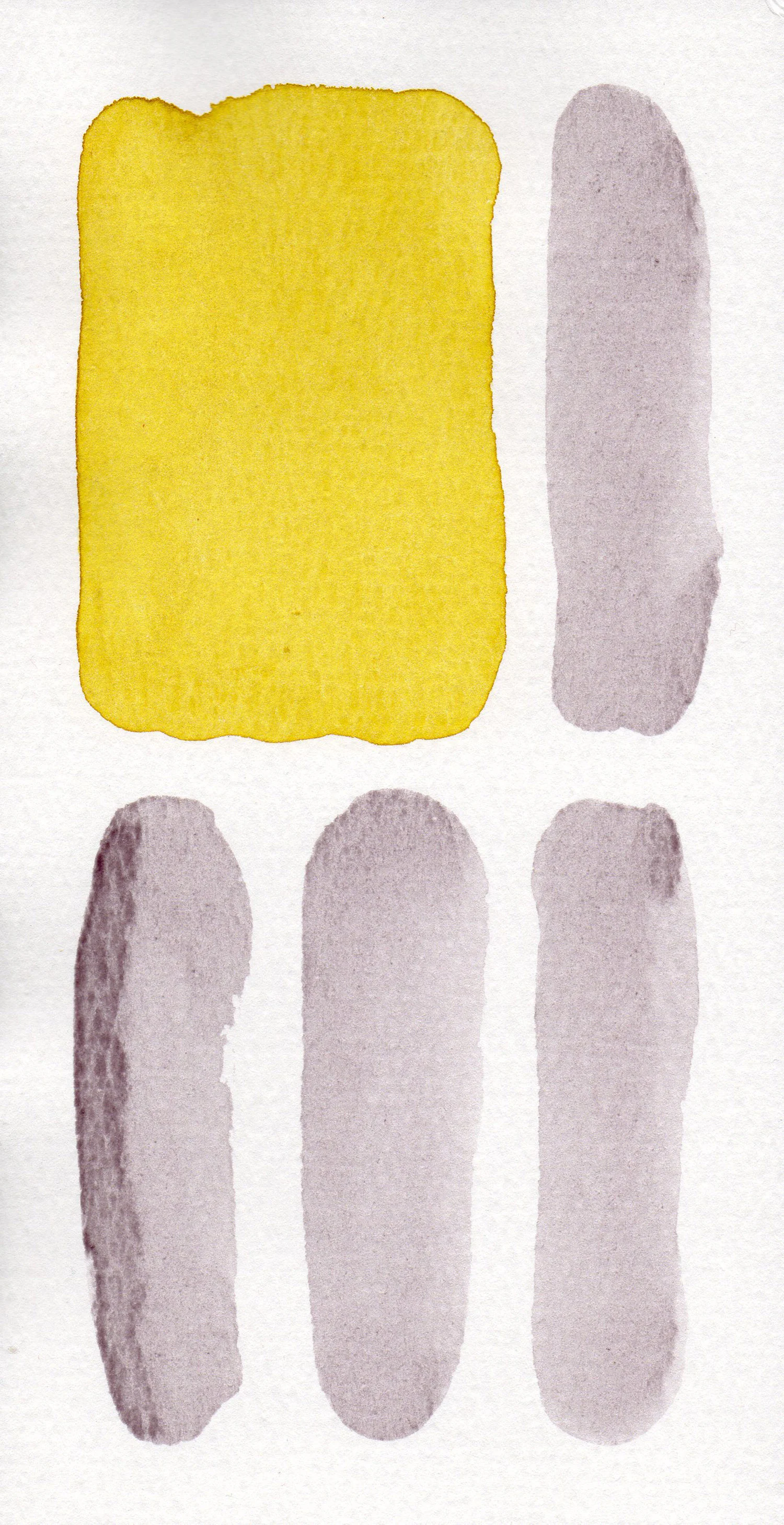 CELLULE.-GRIGIO-16.jpg